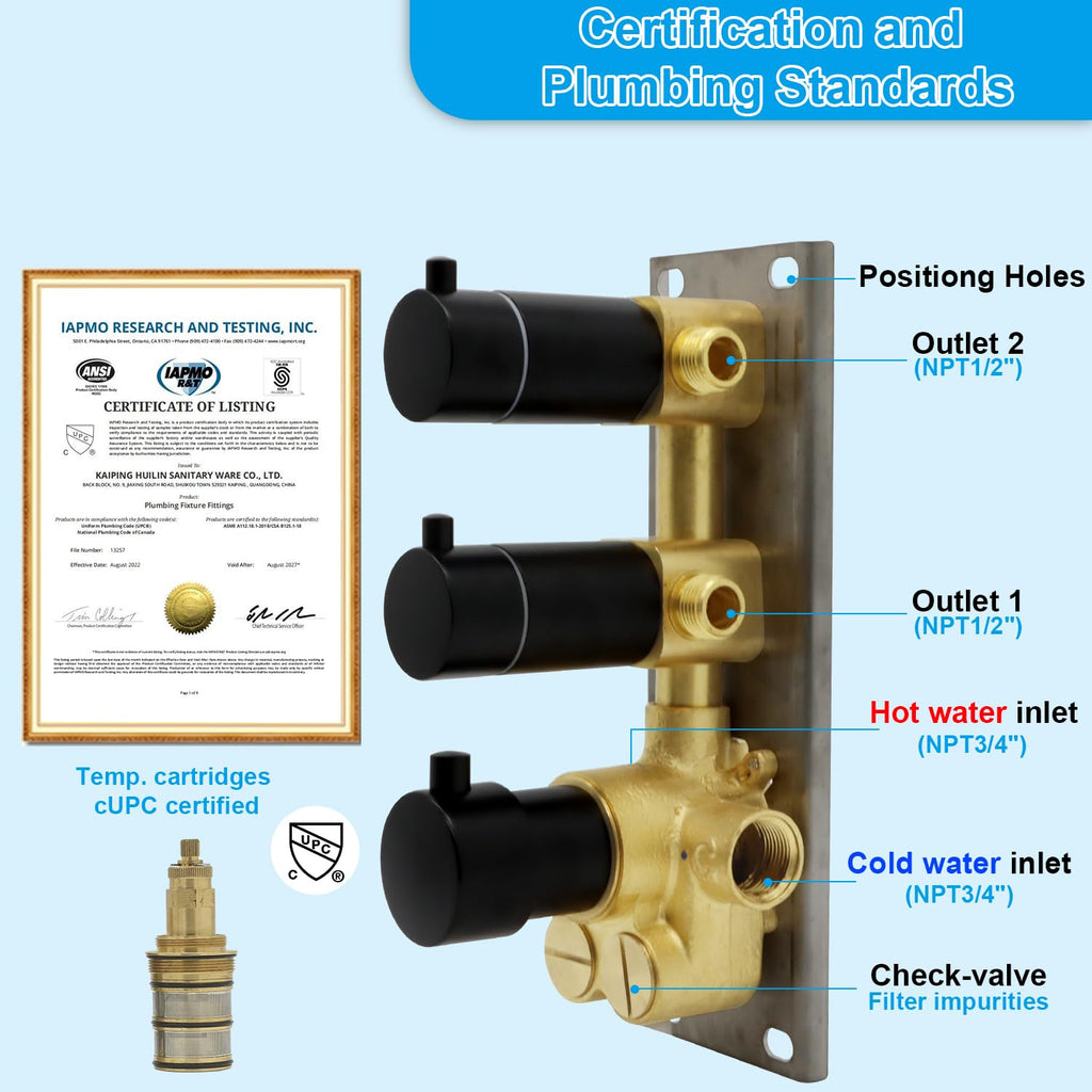 HOMEDEC 2 Way Shower Diverter Valve Brass Dual Functions Thermostatic Shower Mixing Valve Kit 3 Handle Flow Control Valve, 3/4 Inch Inlet, Can Use All Options At a Time, Matte Black