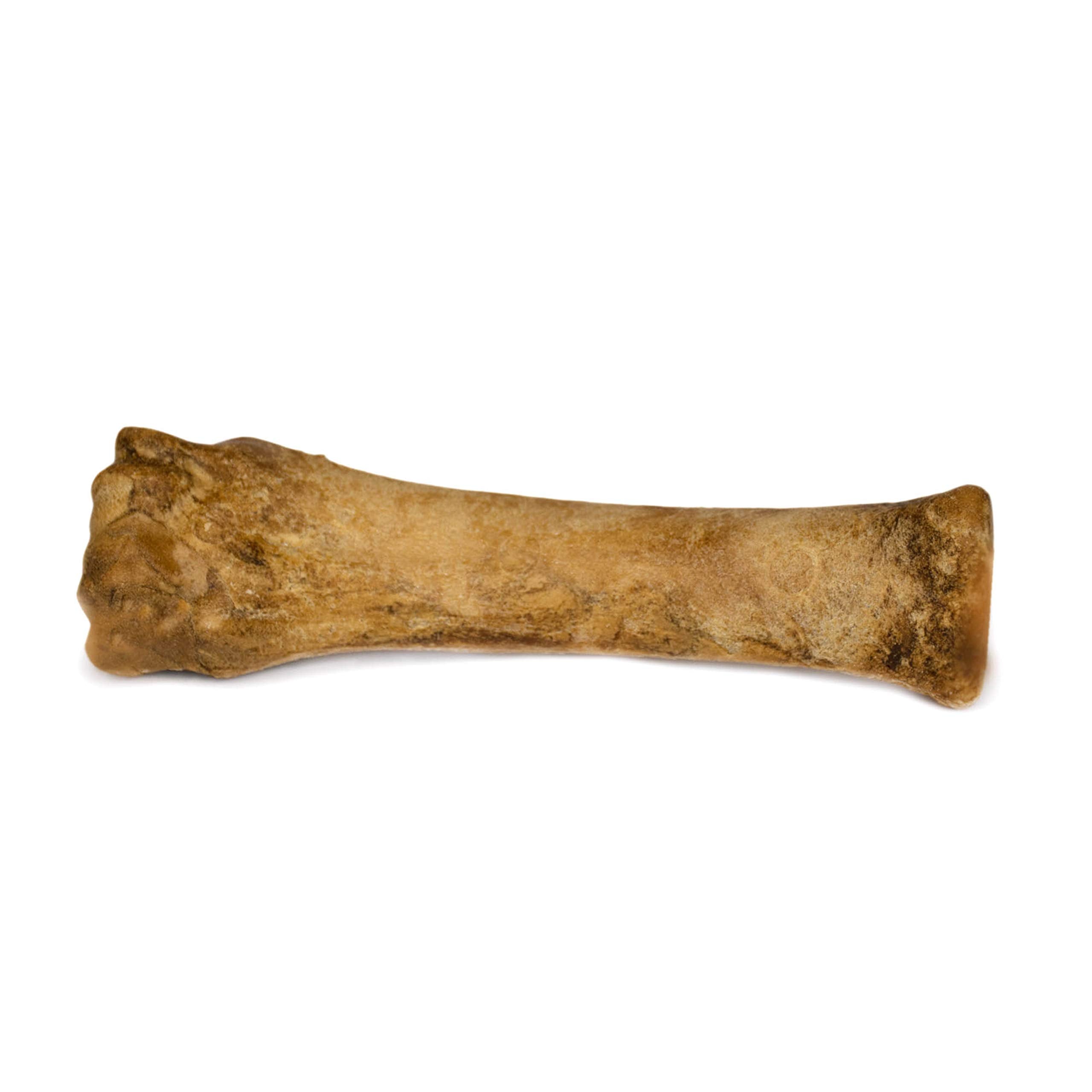 Nylabone Healthy Edibles Natural Dog Chews Long Lasting Bacon Flavor Treats for Dogs, X-Large/Souper (1 Count)