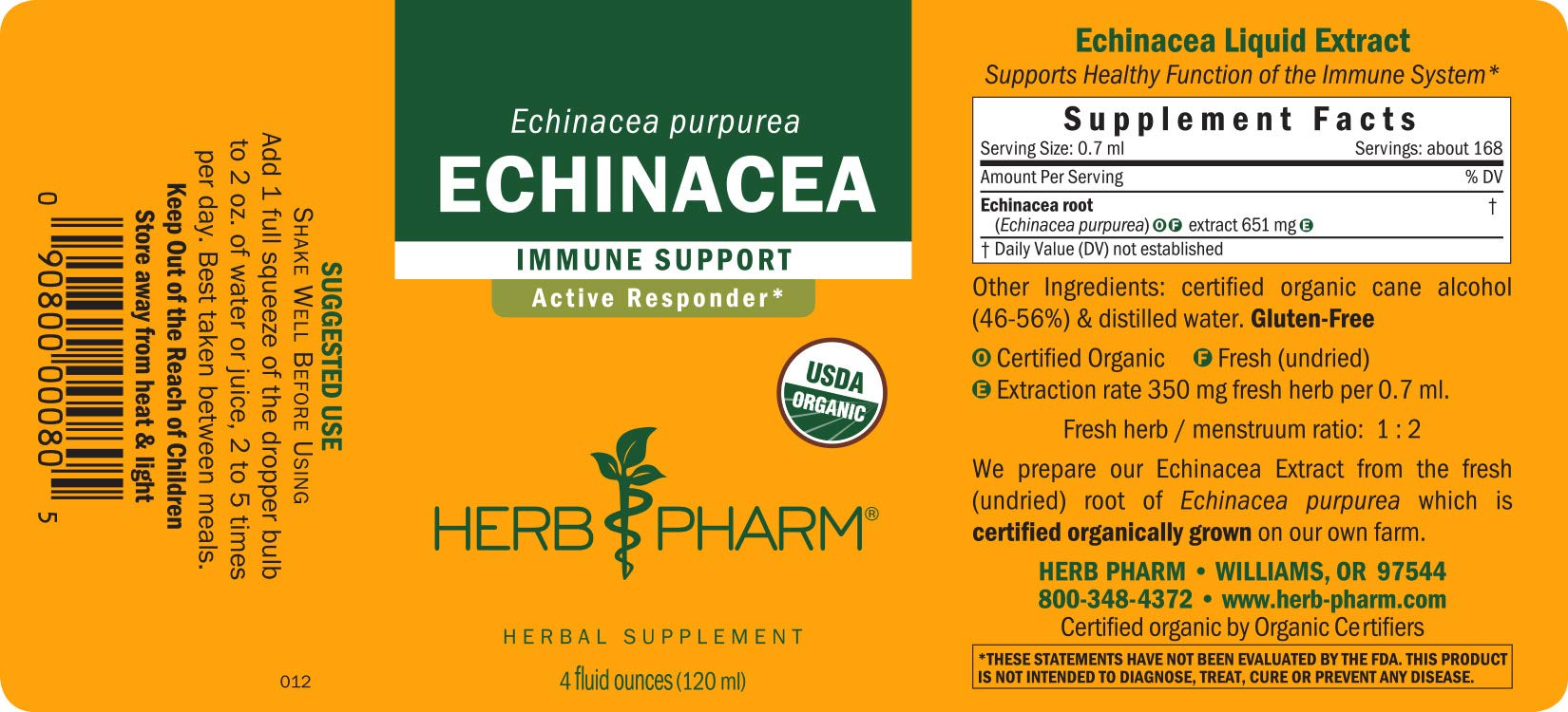 Herb Pharm Echinacea Alcohol-Free Extract: Immune System Support for All Seasons | Fast-Absorbing Echinacea Root Organic Supplement | Non-GMO, Vegan & Gluten-Free | Glycerite Liquid | 1 oz