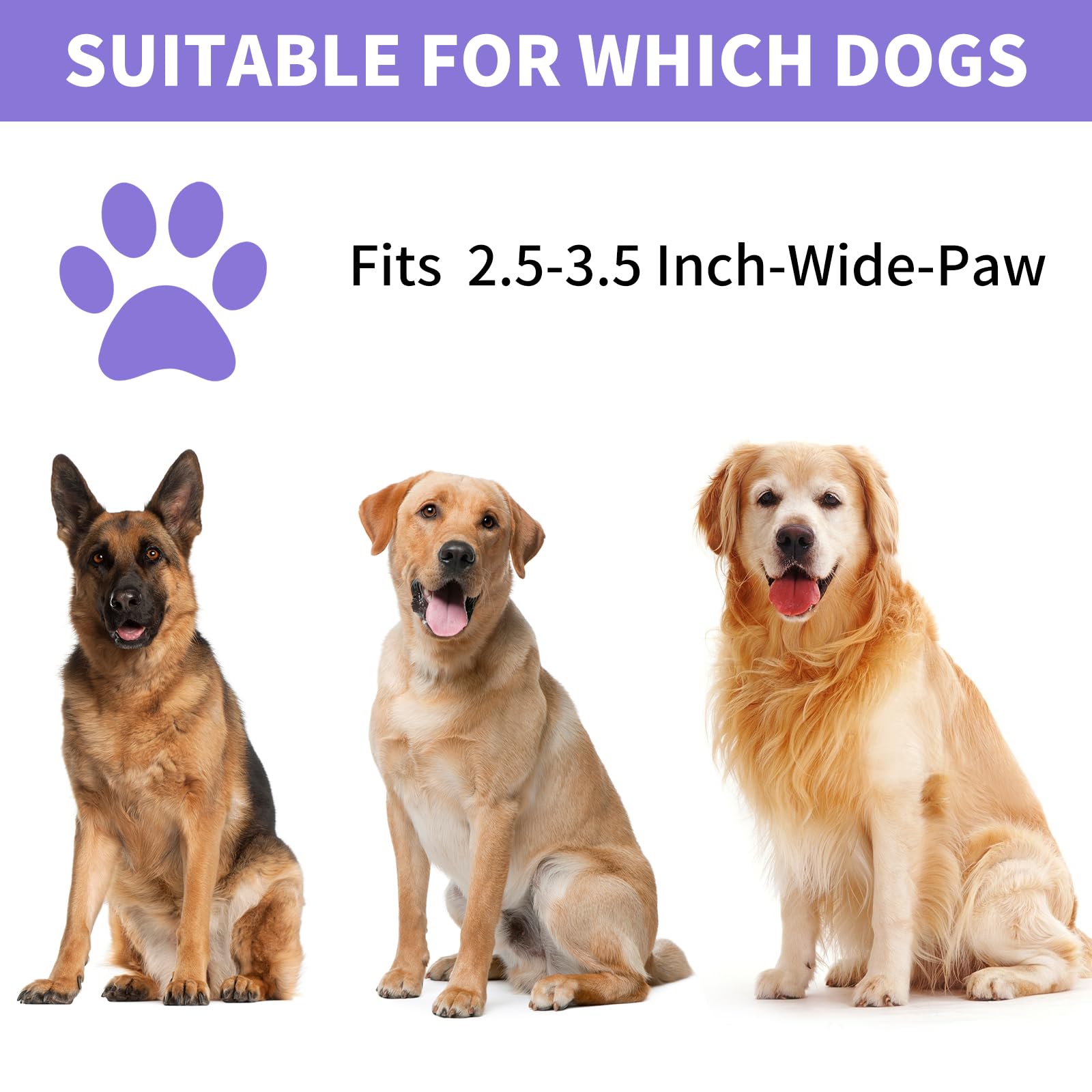 Professional 7 in 1 Dog Paw Cleaner for Dogs & Cats - Includes 1 Portable Paw Washer, 1 Bath Brush, 2 Dog Toothbrushes and 3 Absorbent Towels Note: Fits Paws up to 2 Inches Wide (Small, Black)