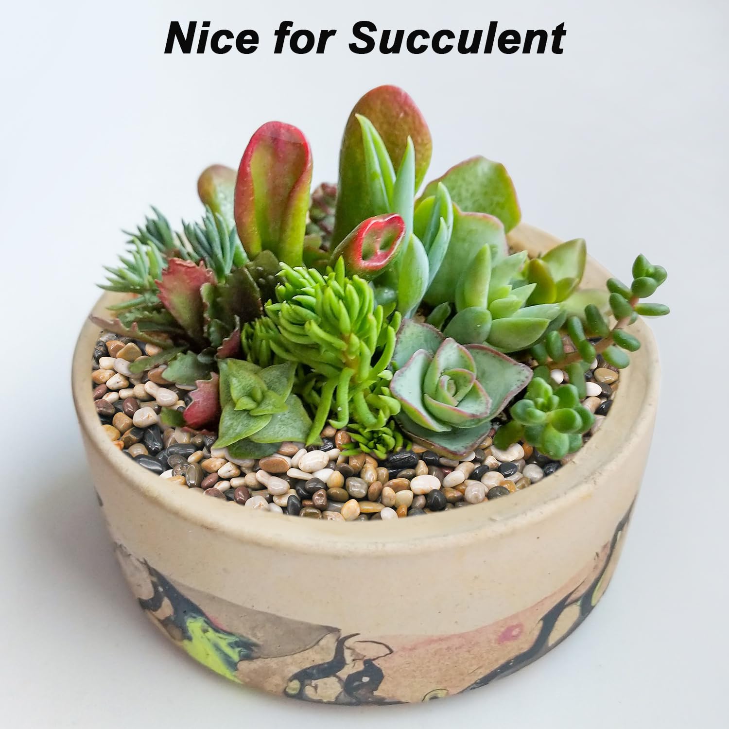 Terrarium Supplies,Virekm River Rocks, Decorative Ornamental Pebbles,Garden Landscaping Stones,Gravel Filler for Home Decoration Flower Bed Fish Tank Plants Vases Succulents