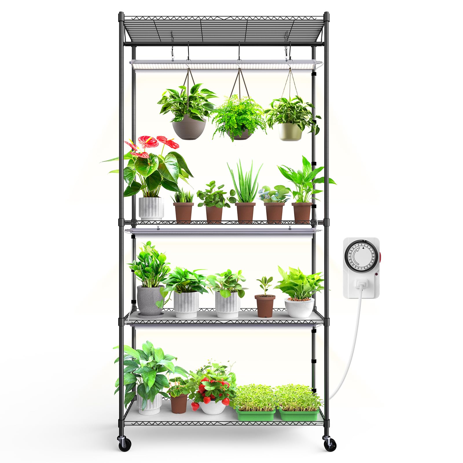 Barrina Indoor Greenhouse with Grow Light, with 40W Seed Starting LED Indoor Plant Light, Portable Mini Greenhouse with Timer for Seed Starter Tray, Seedling, Sprouting, Microgreens, 23x23x23IN