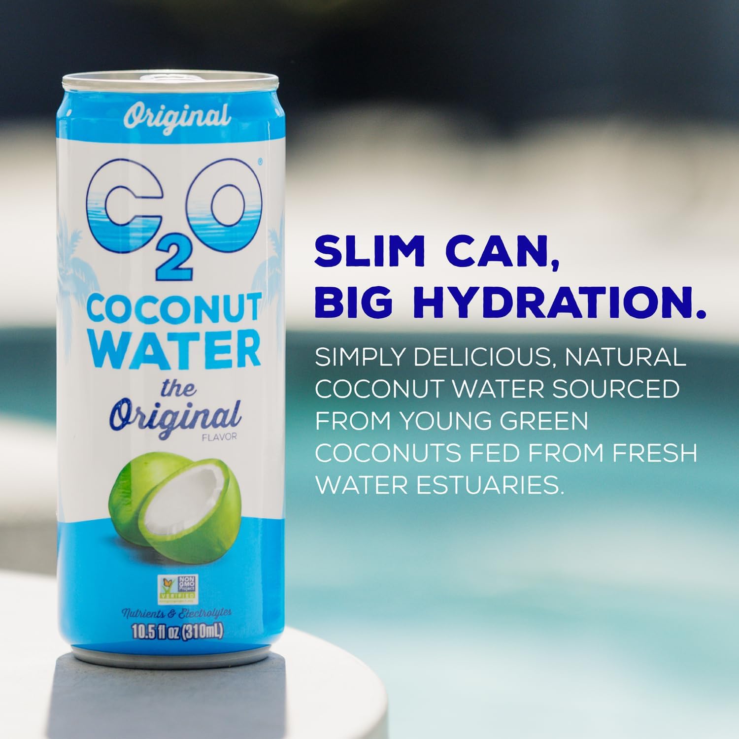 C2O - Coconut Water with Ginger, Lime, & Turmeric (12 Pack) - Made with Fresh Coconut Water - Plant Based - Non GMO - Canned Water - Natural Hydration, Electrolytes, & Potassium - 12 Cans, 17.5 FL OZ