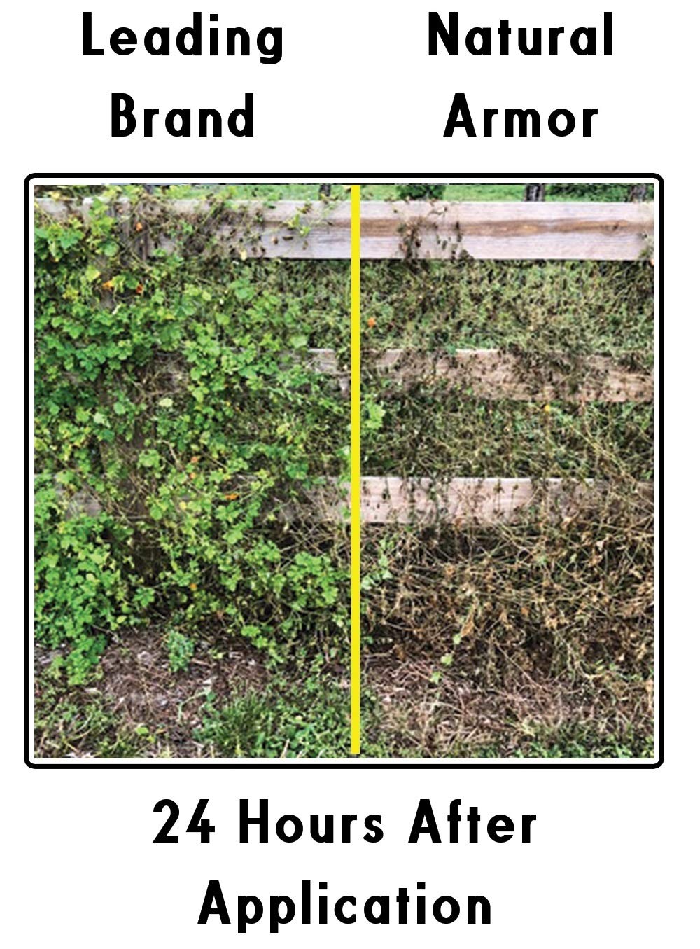 Natural Armor Weed and Grass Killer All-Natural Concentrated Formula. Contains No Glyphosate (16 Ounce Pint)