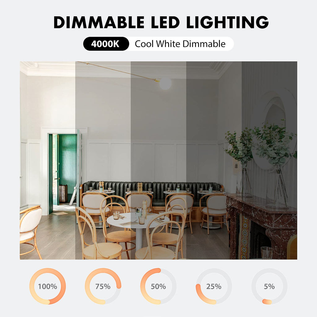 G4 LED Light Bulbs 6000K Day Light Lighting Dimmable, 3W Equivalent to 30W AC DC 12V-24V, Bi-pin LED Bulb Silicone G4 LED Bulbs (10-Pack)