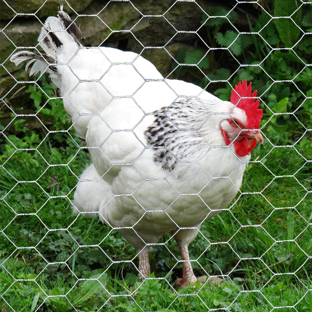 MTB Supply 20GA Galvanized Hexagonal Poultry Netting Chicken Wire 12 inches x 25 feet x 1 inch Mesh