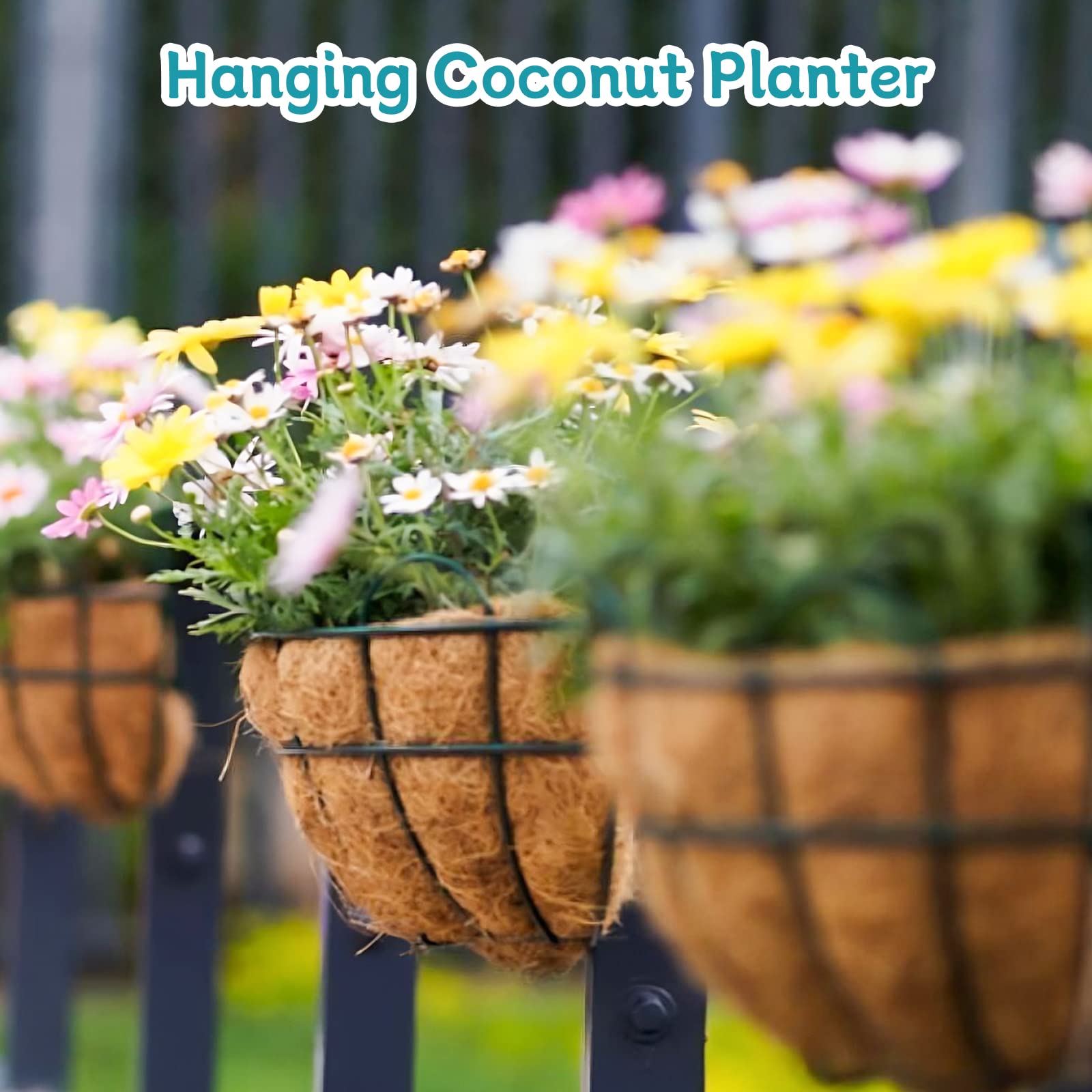 Riare 2 Pack 12 Inch Round Coco Liners Replacement, 100% Natural Coconut Coir Liners for Hanging Baskets, Garden Flower Vegetables Planter Pot, Window Box, Fence, Decks