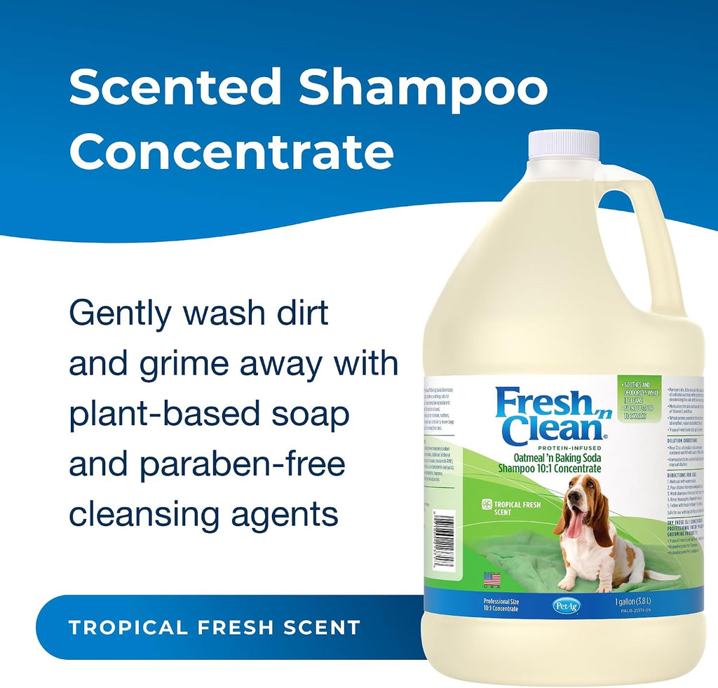 PetAg Fresh ’n Clean Oatmeal ’n Baking Soda Shampoo - Tropical Fresh Scent (10:1 Concentrate) - 1 Gallon - Nurtures Dry, Itchy Skin with Vitamin E & Aloe - Strengthens & Repairs - Soap Free
