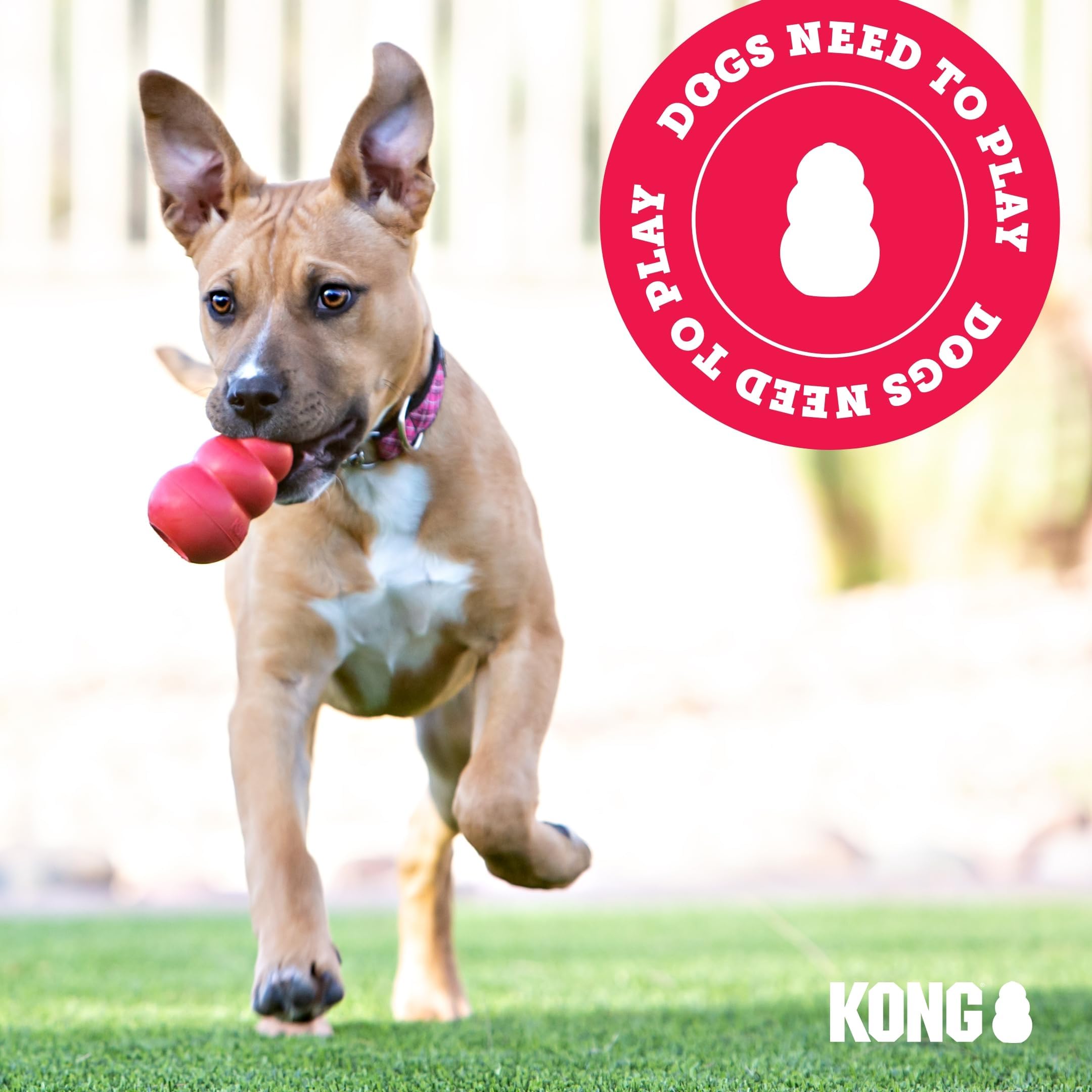 KONG Extreme Dog Toy - Fetch & Chew Toy - Treat-Filling Capabilities & Erratic Bounce for Extended Play Time Most Durable Natural Rubber Material - for Power Chewers - for Small Dogs