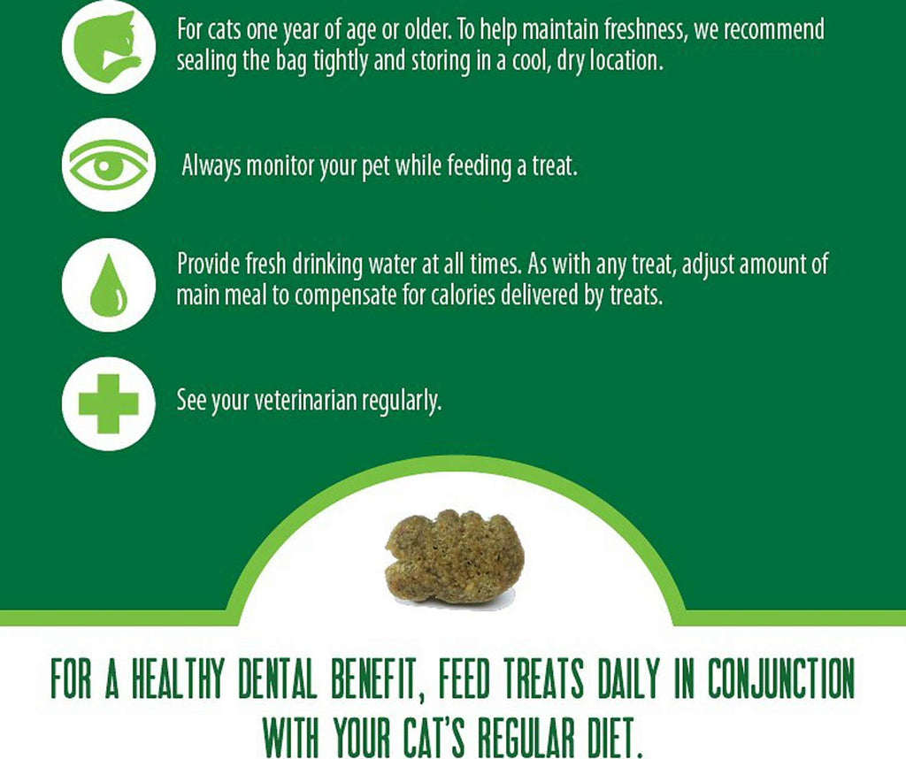 Greenies Cat Treats, Feline Veterinarian-Recommended Adult Natural Dental Treats, Catnip Flavor, 2.1 oz. Pouch