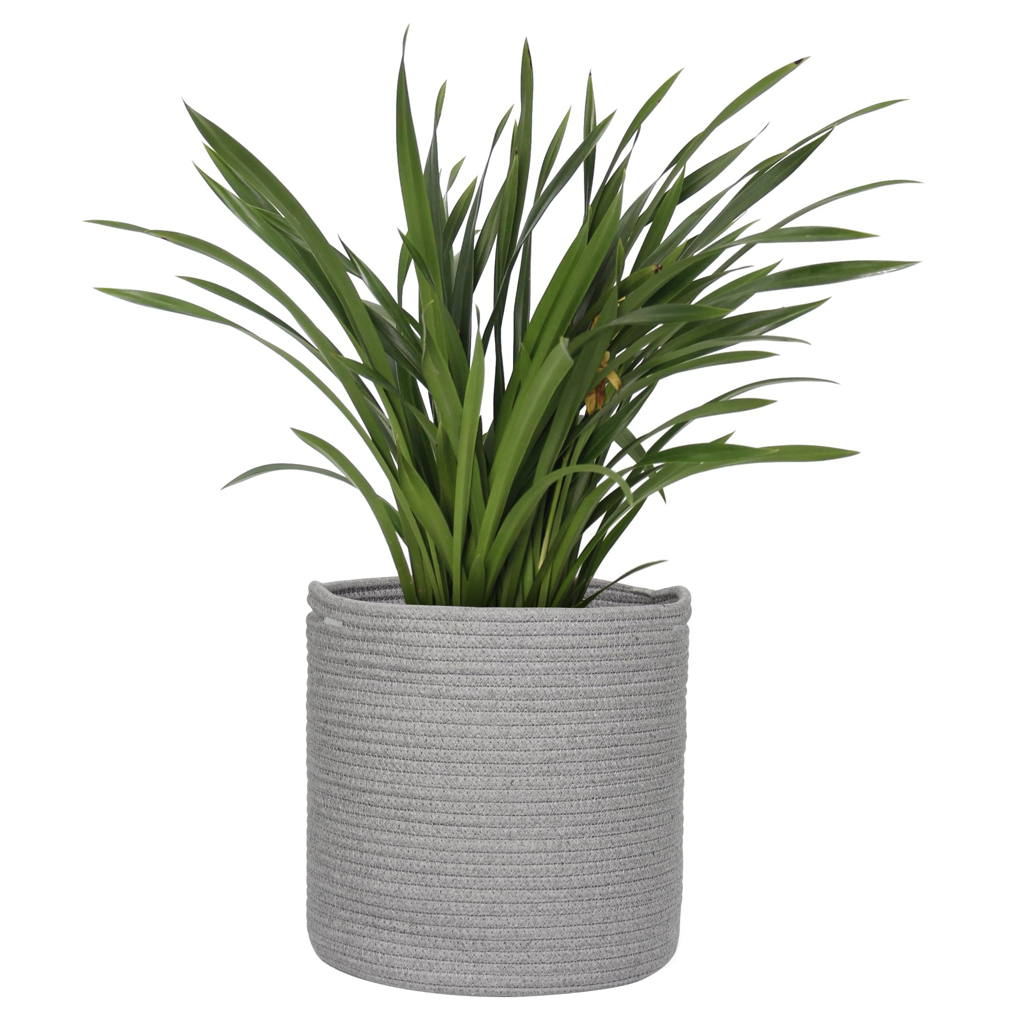 MEGASKET Cotton Rope Plant Basket, Woven Basket Planter for 10 inch Pot, Round Indoor Tree Pot Cover, Small Storage Bin Organizer, Modern Bins for Plants and Home Decor, 11”X11”, Black