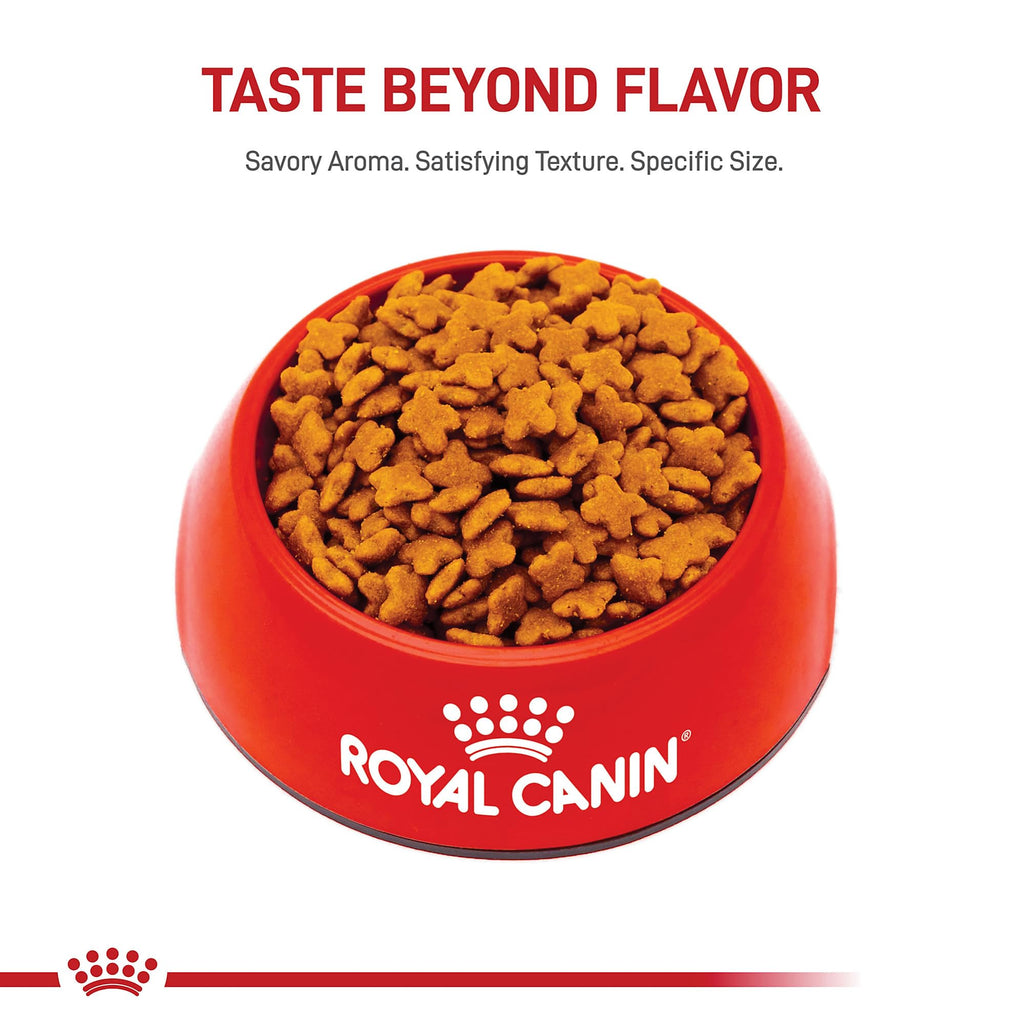 Royal Canin Size Health Nutrition Small 8+ Senior Dry Dog Food, 2.5 lb Bag