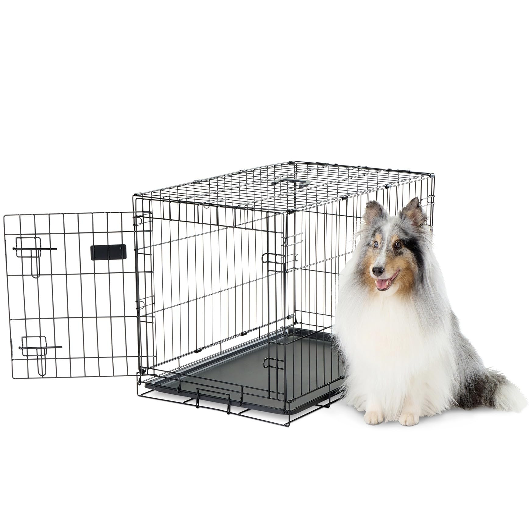 Carlson Secure and Compact Double Door Metal Dog Crate, Medium with Divider Panel