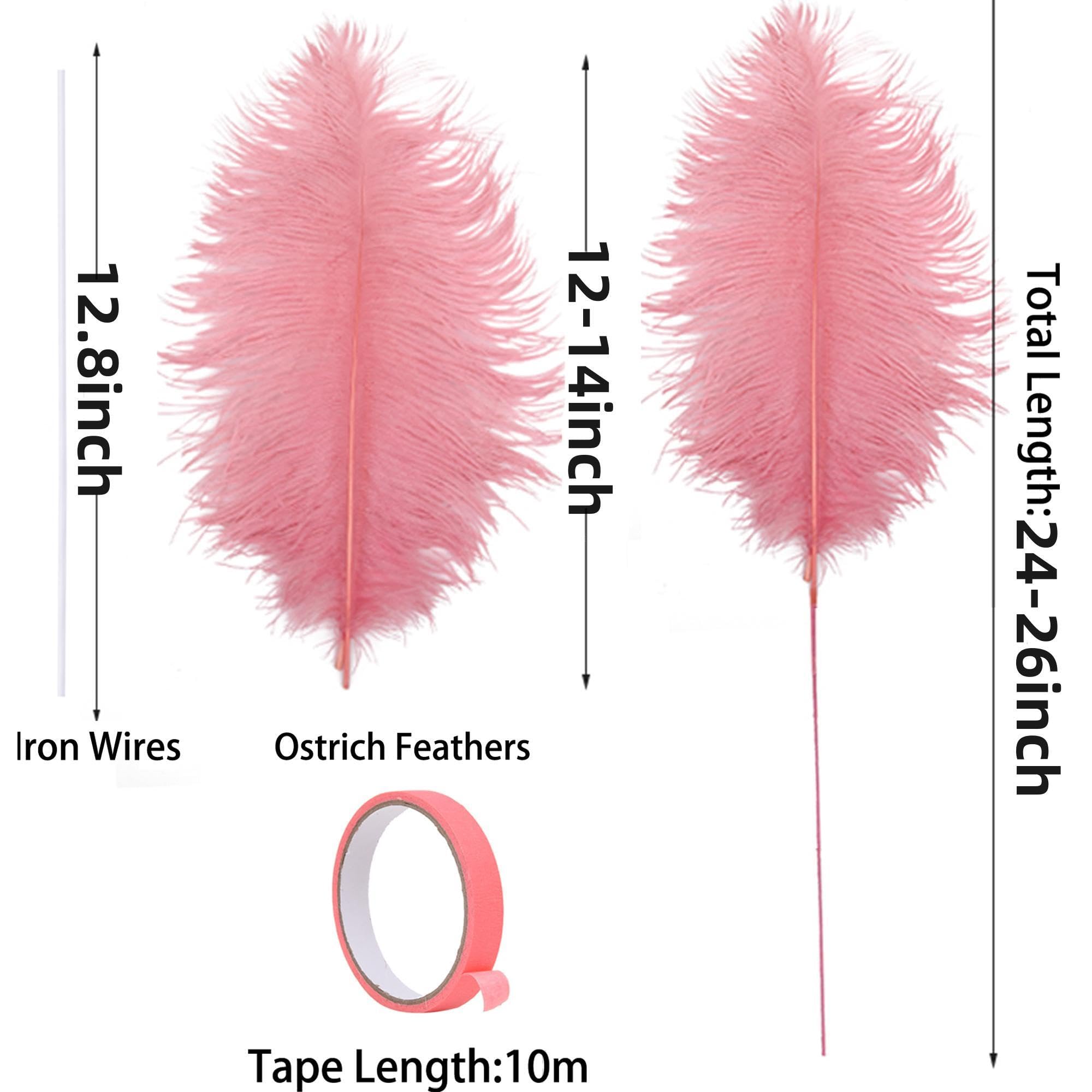 Ballinger Black Ostrich Feathers Bulk - Making Kit 12Pcs 16-18inch Large Ostrich Feathers for Floral Arrangement, Vase, Wedding Party Centerpieces and Halloween Home Decor