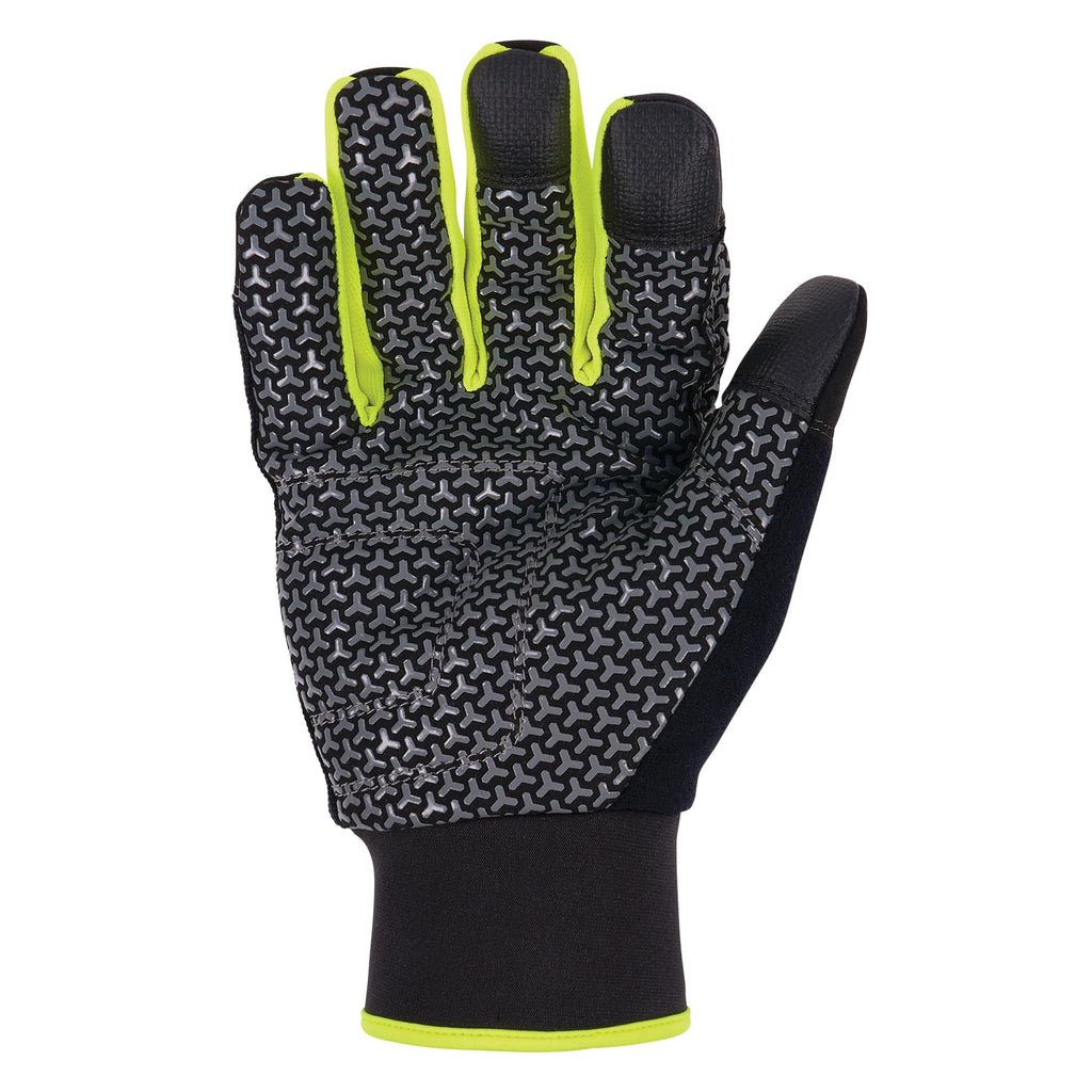 Ergodyne Unisex Adult Proflex 850 Insulated Freezer Gloves