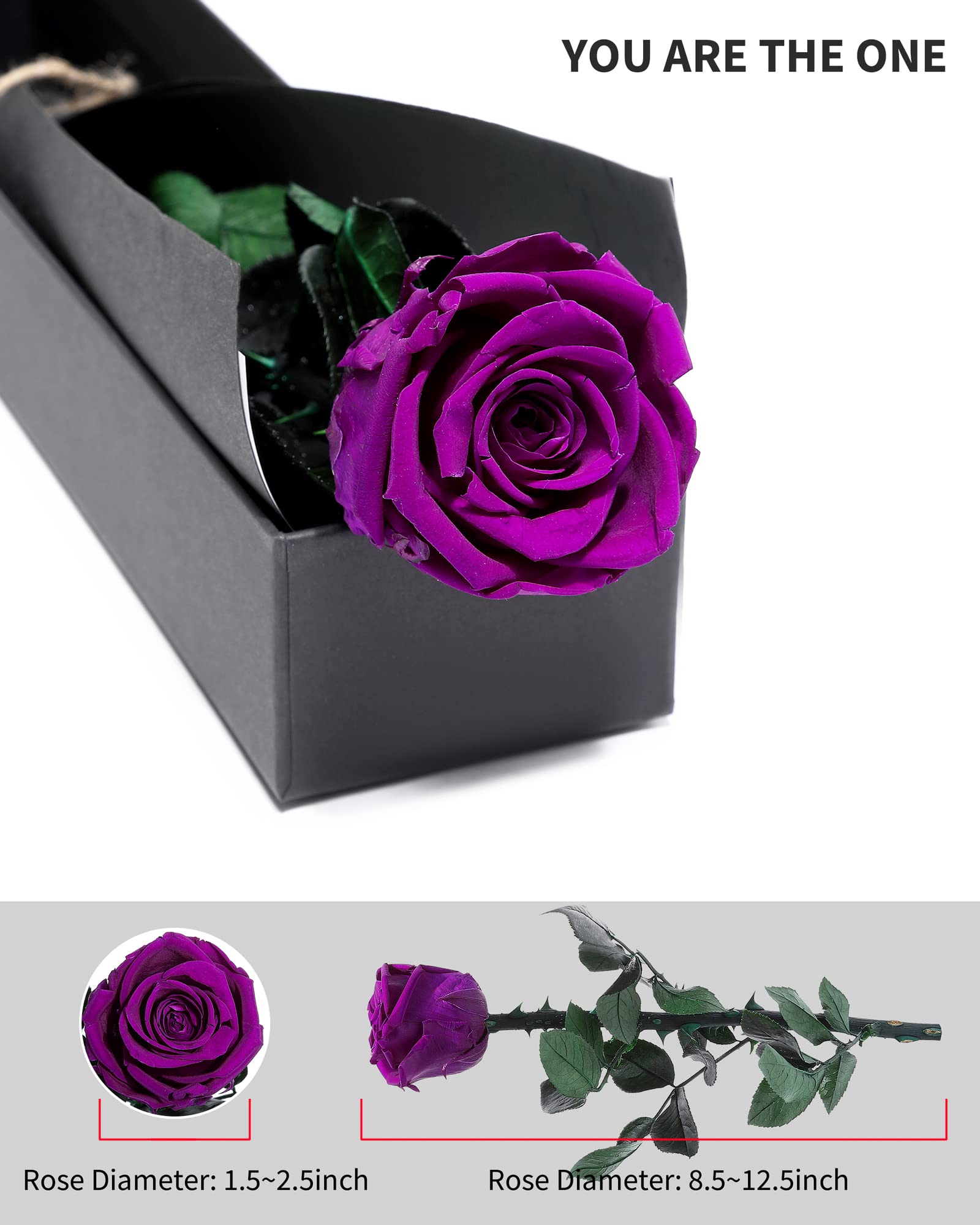 Flowers for Delivery Prime, Preserved Roses Flower Gifts for Women, Real Roses Single Rose Presents for Her, Mom Birthday Gifts from Daughter, Valentines Flowers Red Roses