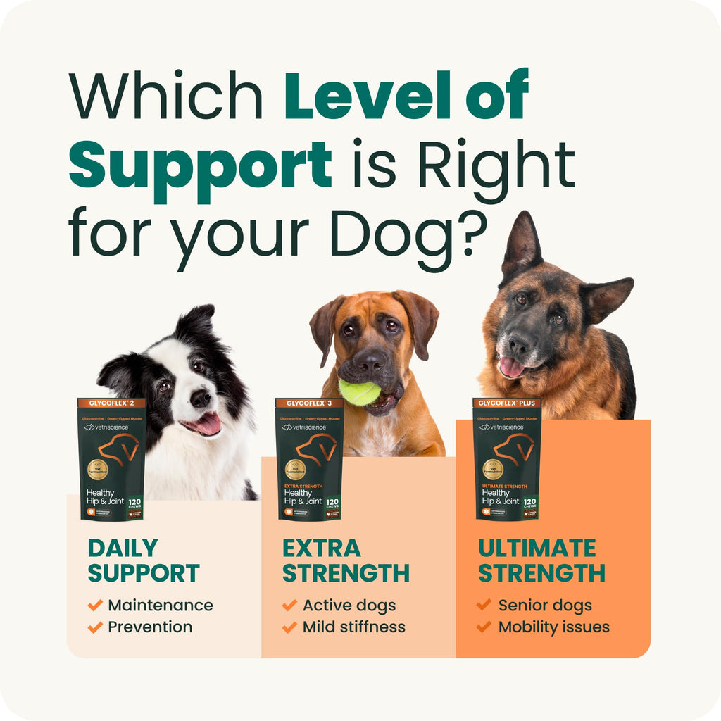 VetriScience Glycoflex 3 Vet Strength Glucosamine for Dogs Hip and Joint Supplement - Clinically Proven Mobility and Joint Supplement with MSM, DMG and Green Lipped Sea Mussel, Chicken, 60 Chews