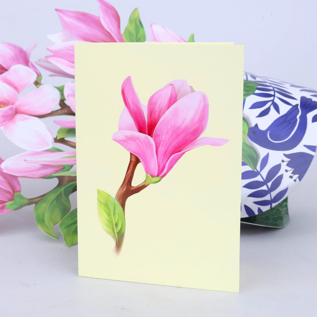 Airpark 3D Pop Up Paper Flowers Bouquet Card 12’‘ with Note & Envelope, Birthday Gifts, Get Well, Thank You, Greeting Cards for Women Mom Wife Friends, Daisies and Butterflies