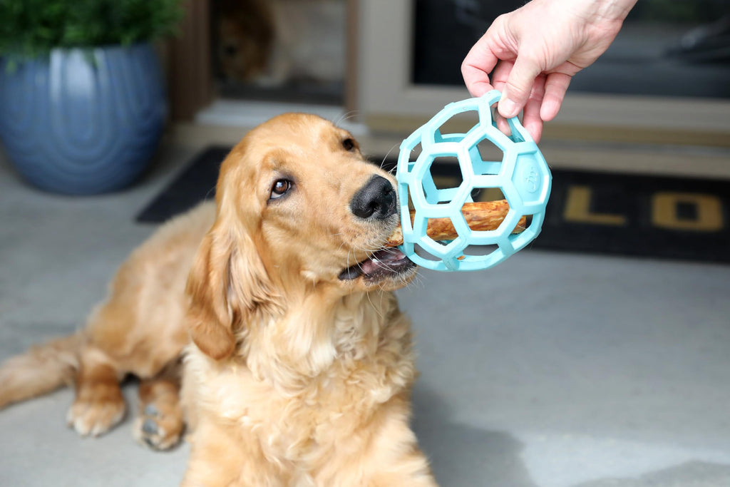 JW Pet HOL-ee Roller™, Dog Toy Puzzle Ball, Natural Rubber, Small (3 Inch Diameter), Blue