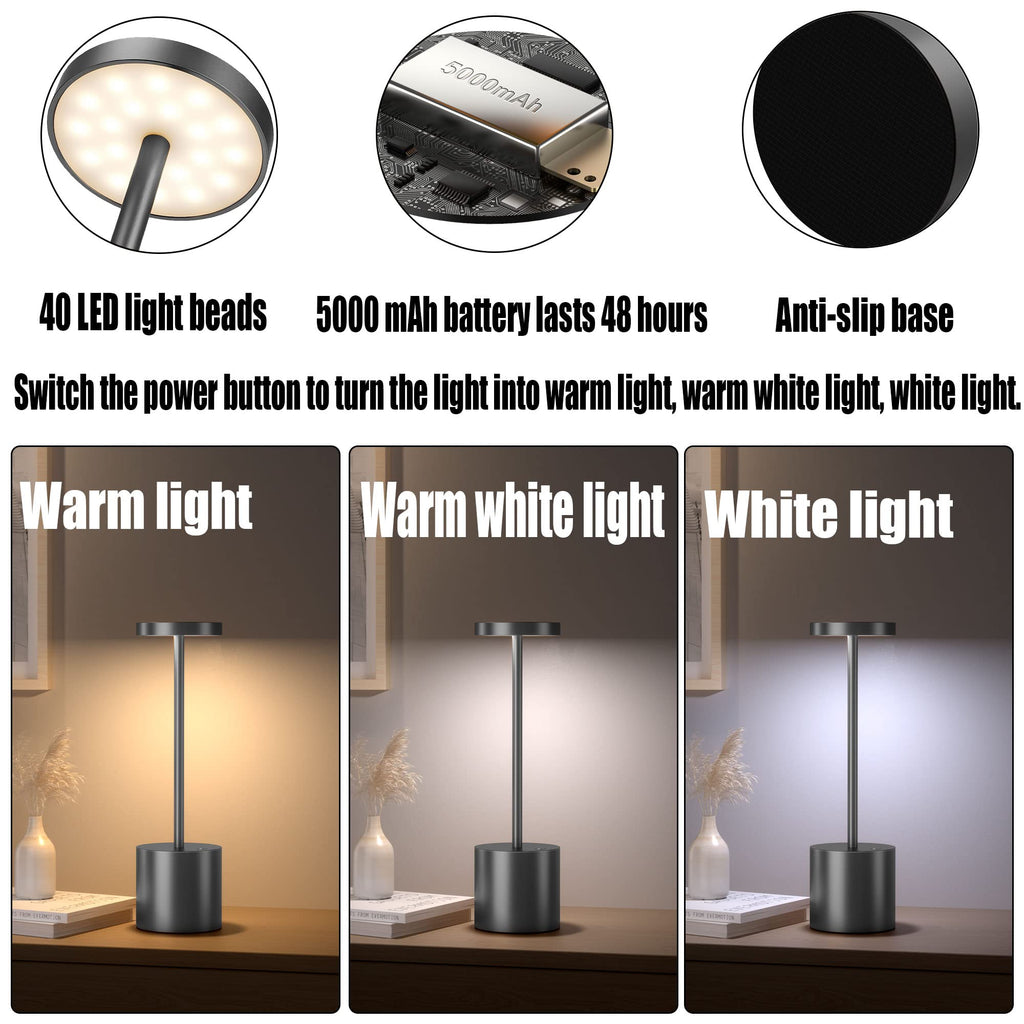 2Pack Cordless Table Lamp, Rechargeable LED Battery 5000mAh Metal USB Portable Powered Desk Lamp, 3 Levels Brightness Light for Restaurants Outdoor (2pack 10.25in Titanium)