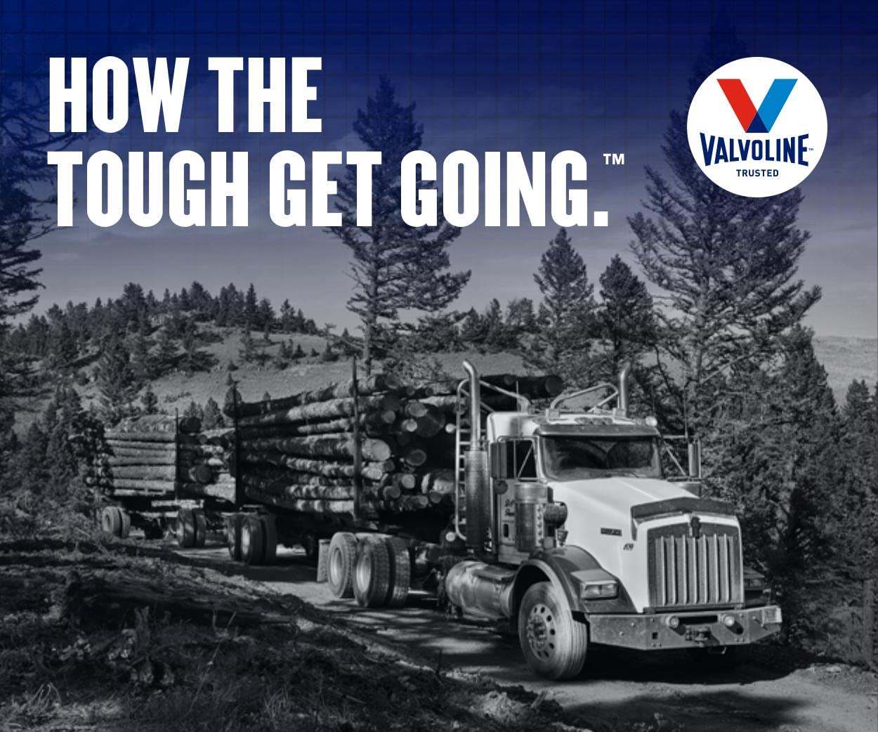 Valvoline Premium Blue One Solution SAE 10W-30 Diesel Engine Oil 1 GA