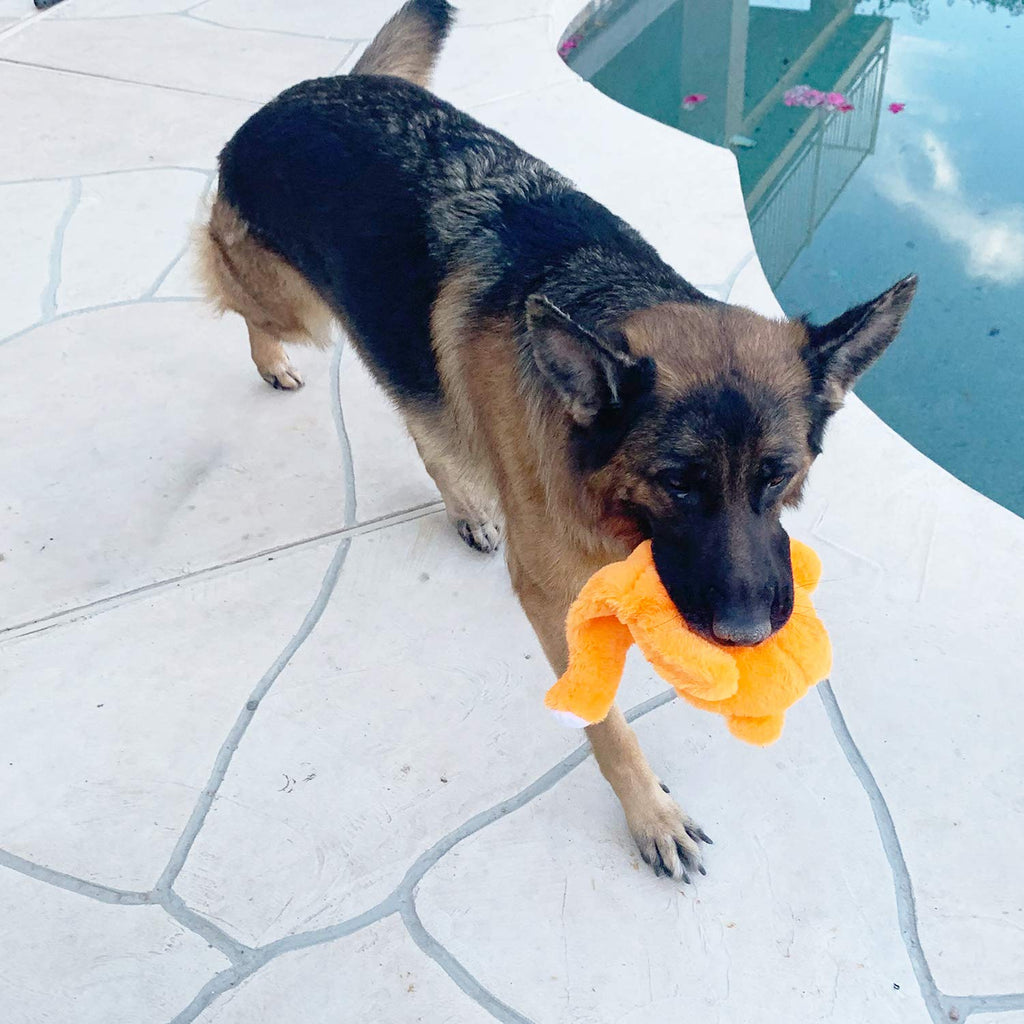Jalousie Multipack Dog Squeaky Toys Strong Almost Indestructible, with Added Liner for Longer Play Dog Chew Toys (3 Pack - XLarge)