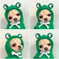 Warm Dog Winter Clothes Cute Fruit Dog Coat Hoodies Fleece Pet Dogs Costume Jacket for French Bulldog Chihuahua Ropa para Perro(Coffee,XS)