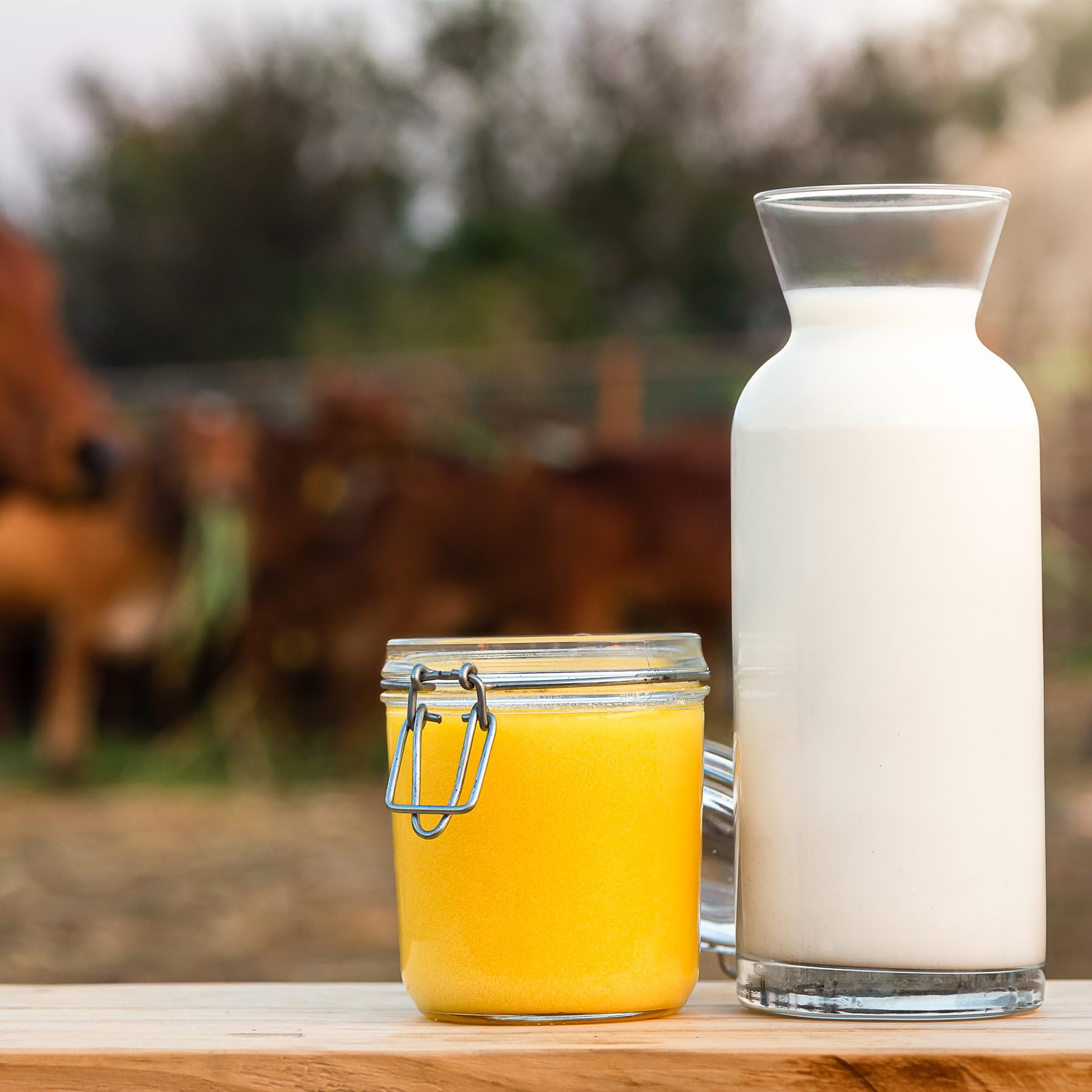 Grass Fed A2 Cultured Ghee | Gir Cow Ghee | Clarified Butter | Cultured Desi Ghee,Non-GMO, Lactose-Free, Keto Friendly - Two Brothers Organic Farms (16 fl oz (500 ml) Plastic)