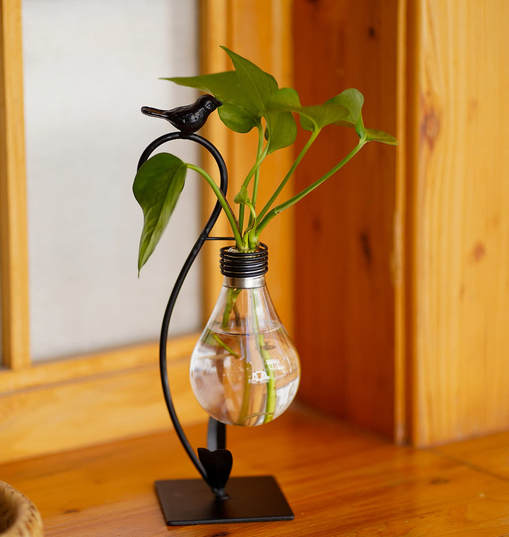 Plant Terrarium, Hydroponic Vases for Home Decoration, Modern Creative Bird Terrarium Stand, Ideal Gifts