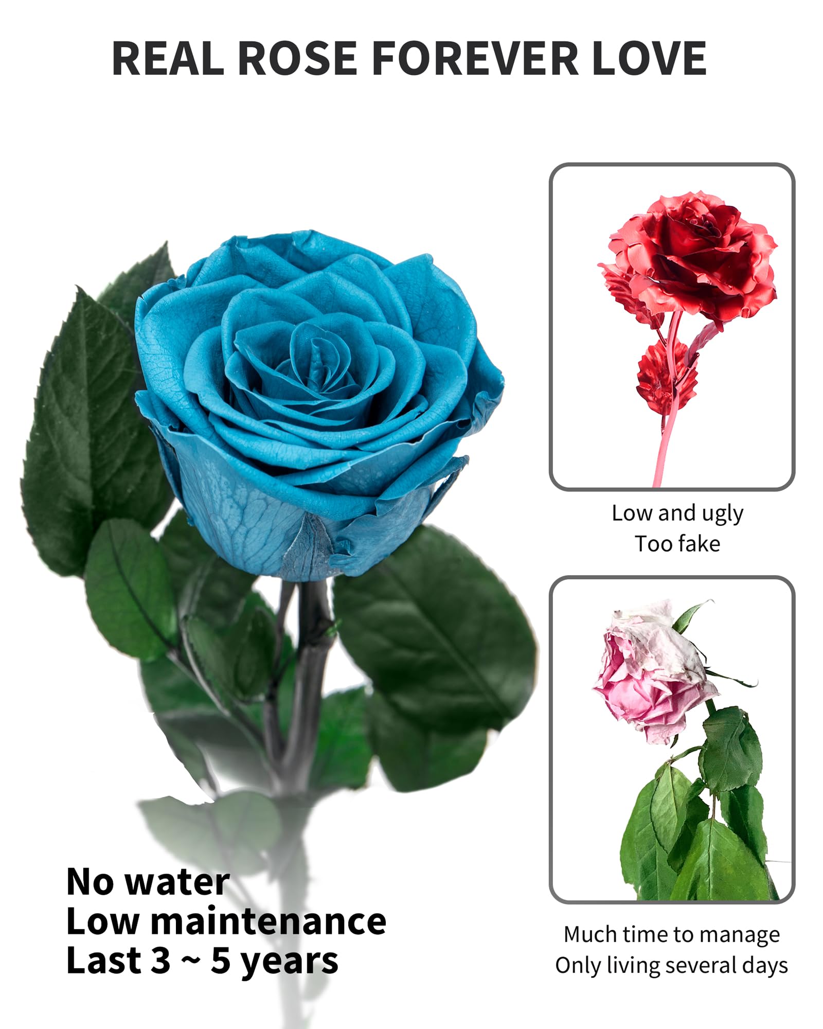 Flowers for Delivery Prime, Preserved Roses Flower Gifts for Women, Real Roses Single Rose Presents for Her, Mom Birthday Gifts from Daughter, Valentines Flowers Red Roses
