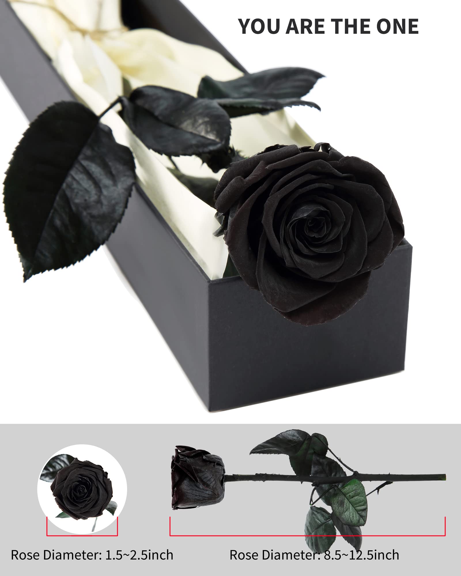 Flowers for Delivery Prime, Preserved Roses Flower Gifts for Women, Real Roses Single Rose Presents for Her, Mom Birthday Gifts from Daughter, Valentines Flowers Red Roses