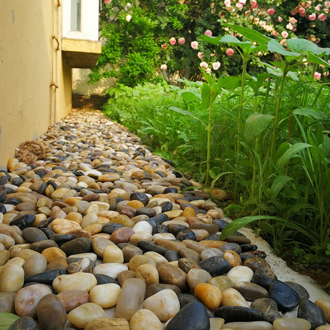 YISZM 5lbs Black Pebbles for Plants, 2-3 Inch High Polished Natural Large River Rocks for Landscaping, Decorative Stones Vase Filler Fish Tank Aquariums Garden Outdoor and Indoor DIY
