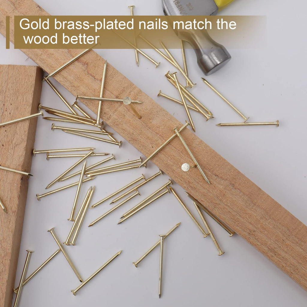 240pcs Gold Hardware Nails, 1-1/2” × 14 Ga Brass Plated Wood Nails, Nails for Hanging Wall Decor, Finishing Nails, Picture Hanging Nails, Wall Nails, Roofing Nails