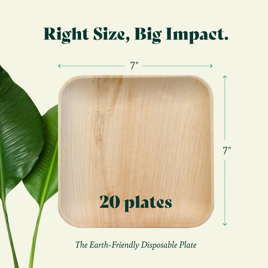 Chic Leaf Palm Leaf Plates - 4 in, 50 Pack, Compostable | Heavy-duty bamboo-style small plates - Use for appetizers & desserts at weddings, parties & picnics