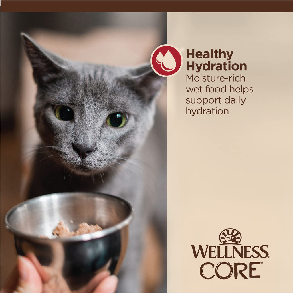 Wellness CORE Tiny Tasters Pate Adult Wet Cat Food, Natural, Protein Rich, Grain Free, Chicken Recipe, 1.75 oz, Pack of 12 Pouches