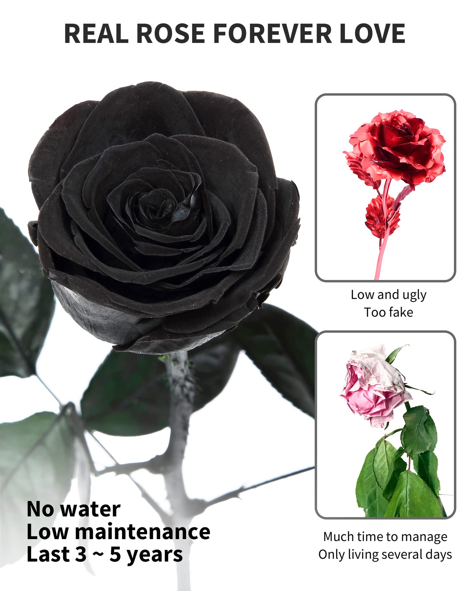 Flowers for Delivery Prime, Preserved Roses Flower Gifts for Women, Real Roses Single Rose Presents for Her, Mom Birthday Gifts from Daughter, Valentines Flowers Red Roses