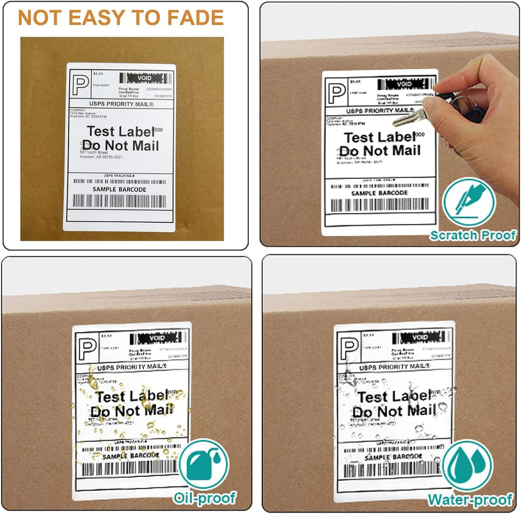 FungLam 2 Rolls 4x6 Direct Thermal Shipping Labels, 250 Labels/Roll, 1'' Core, Compatible Zebra 2844 ZP-450 ZP-500 ZP-505