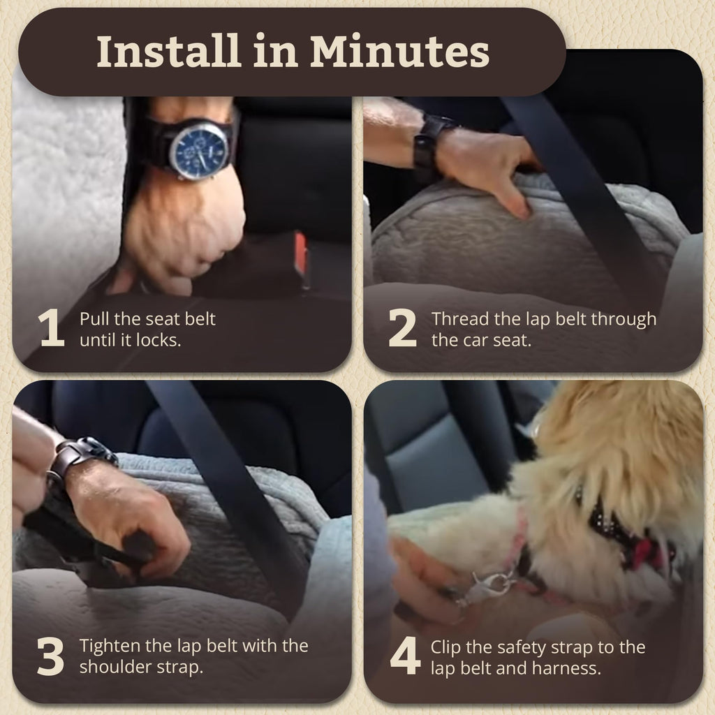 SNOOZER PET Products Lookout 1 Dog CAR SEAT, Birch Diamond, Small