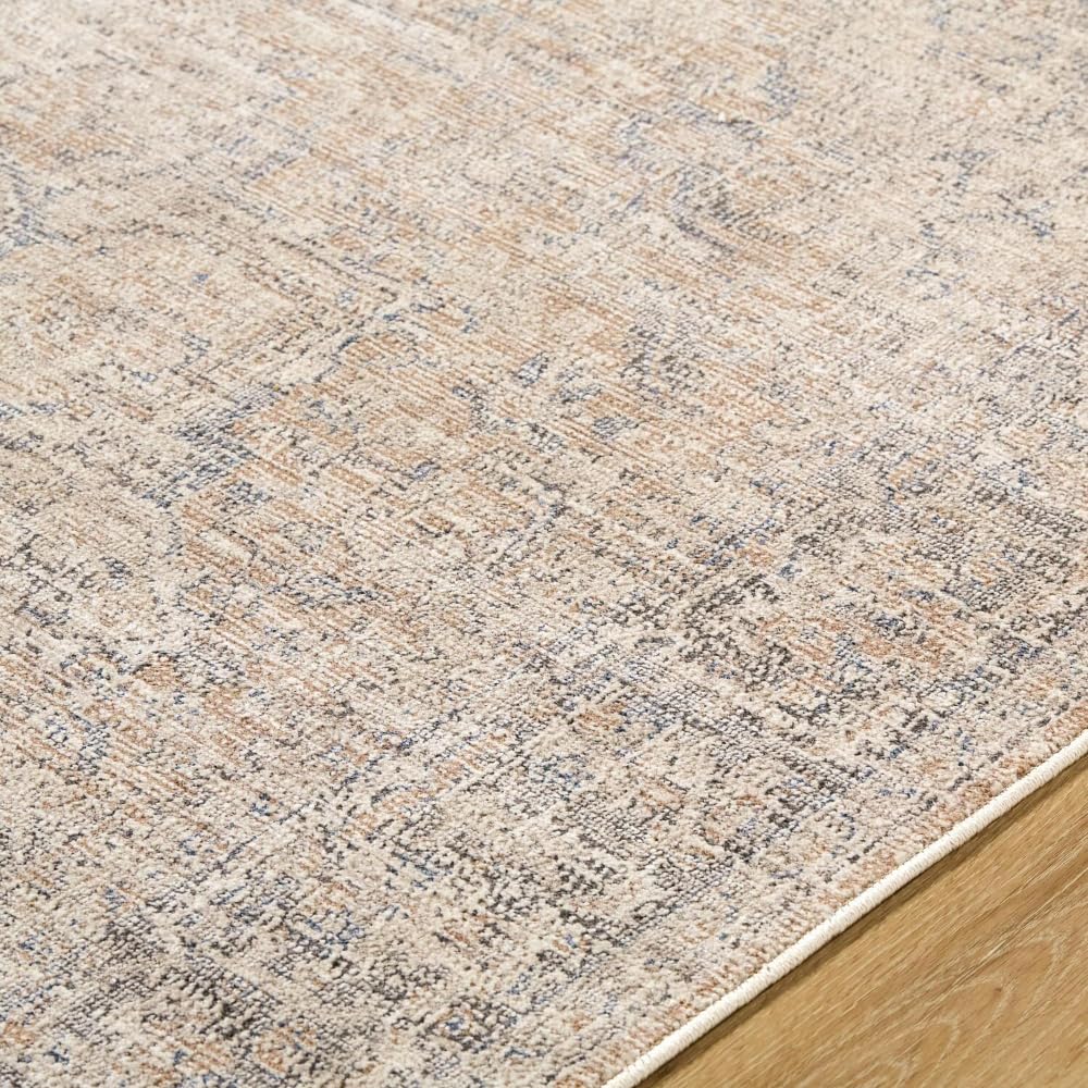 Livabliss x Galey Alix Maria Elena III Vintage Medallion Area Rug, 5'3" x 7' (5' x 7'), Brown