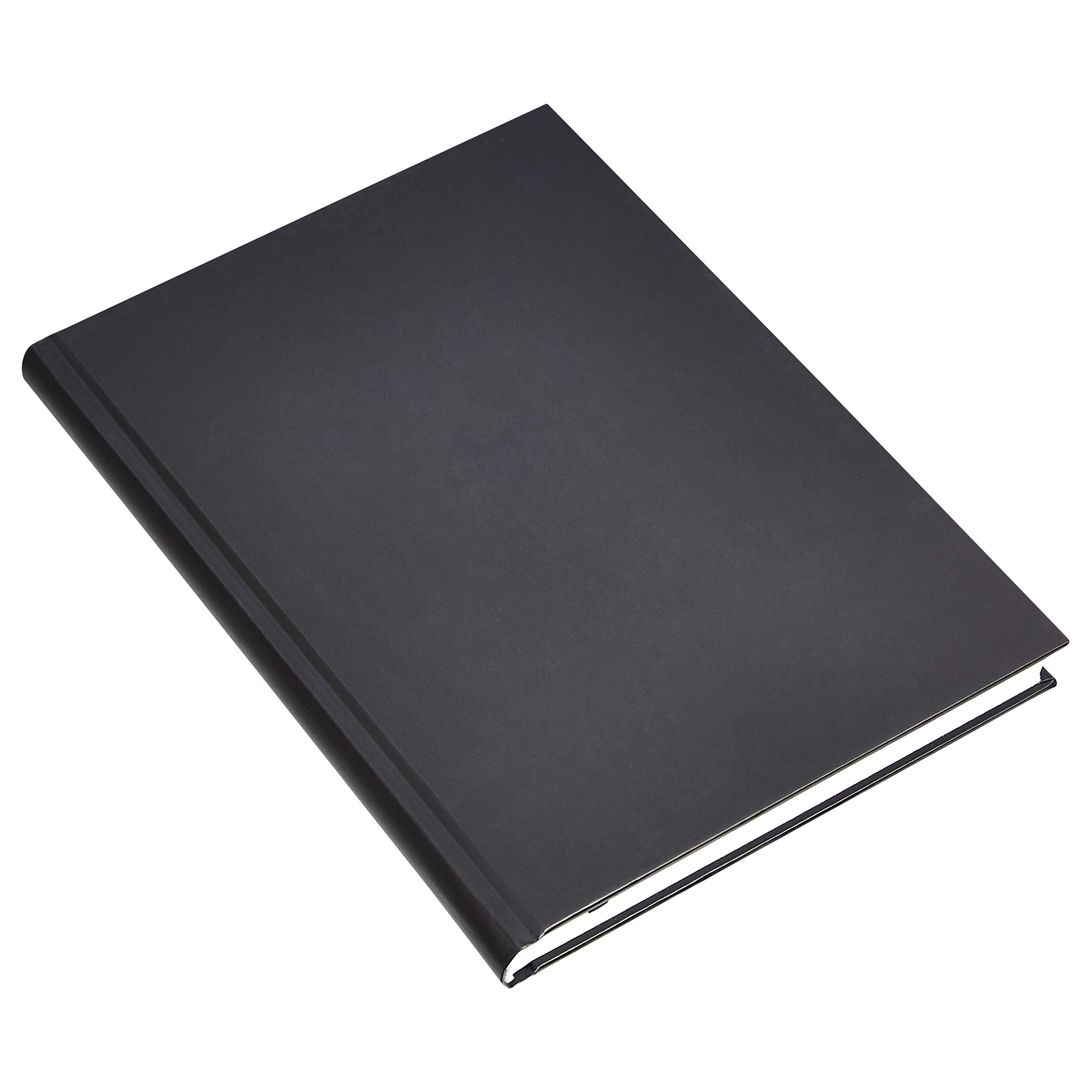 Amazon Basics Professional Hardcover Writing Journal for Journaling and Note Taking, Sturdy, Perforated Pages, 10.5 x 7.5 inches, Black, 2-Pack