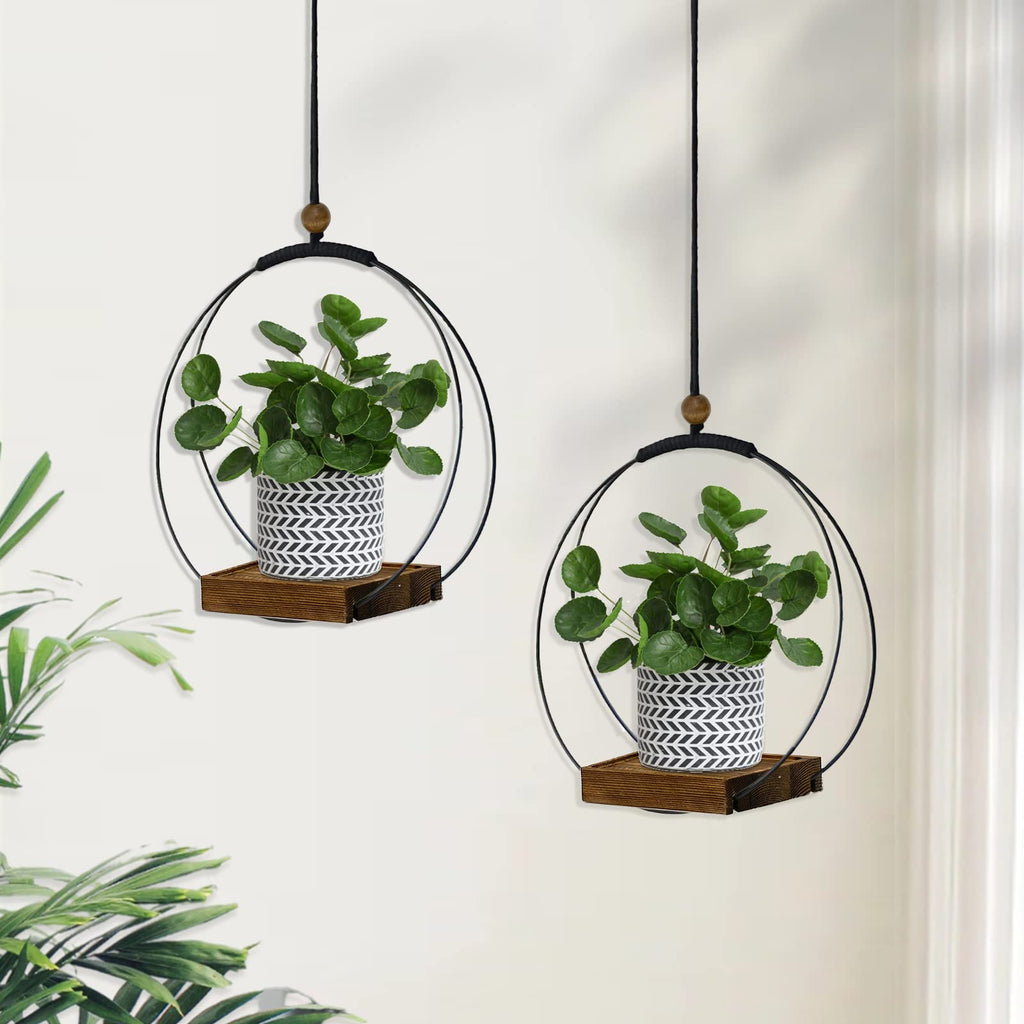 Hanging Planter for Indoor Plants, Black Plant Hanger Indoor with Sturdy Wood Base, Modern Boho Macrame Plant Hanger for 3-5.5 Inch Pot, Hanging Wall Ceiling Window Home Decor (Pots Not Included)