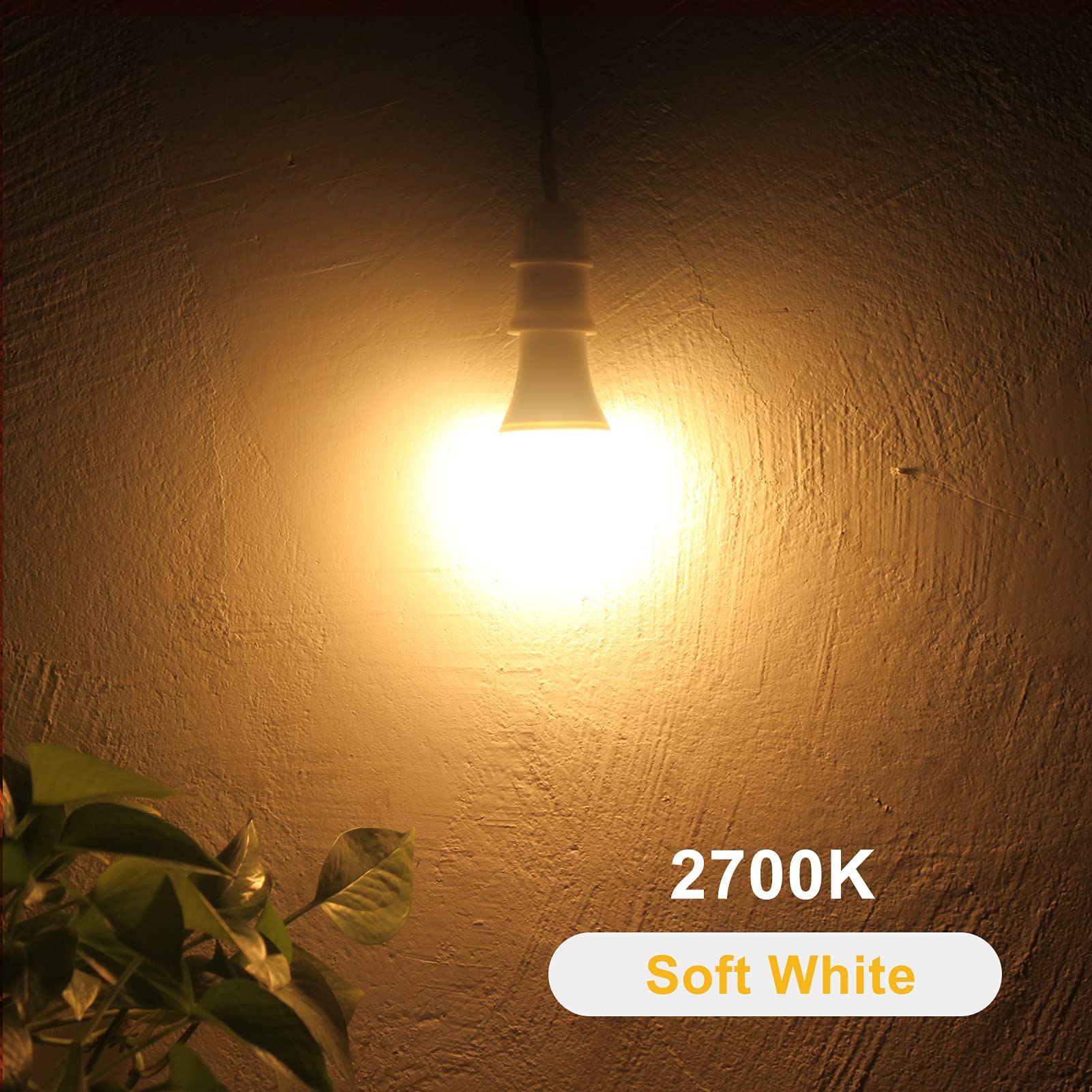 Qualilux Dusk to Dawn A19 LED Light Bulbs 850LM, 60W Equivalent, Daylight, Energy-Efficient 9.5W, A19, E26 Base, 2-Pack, HQ-H011