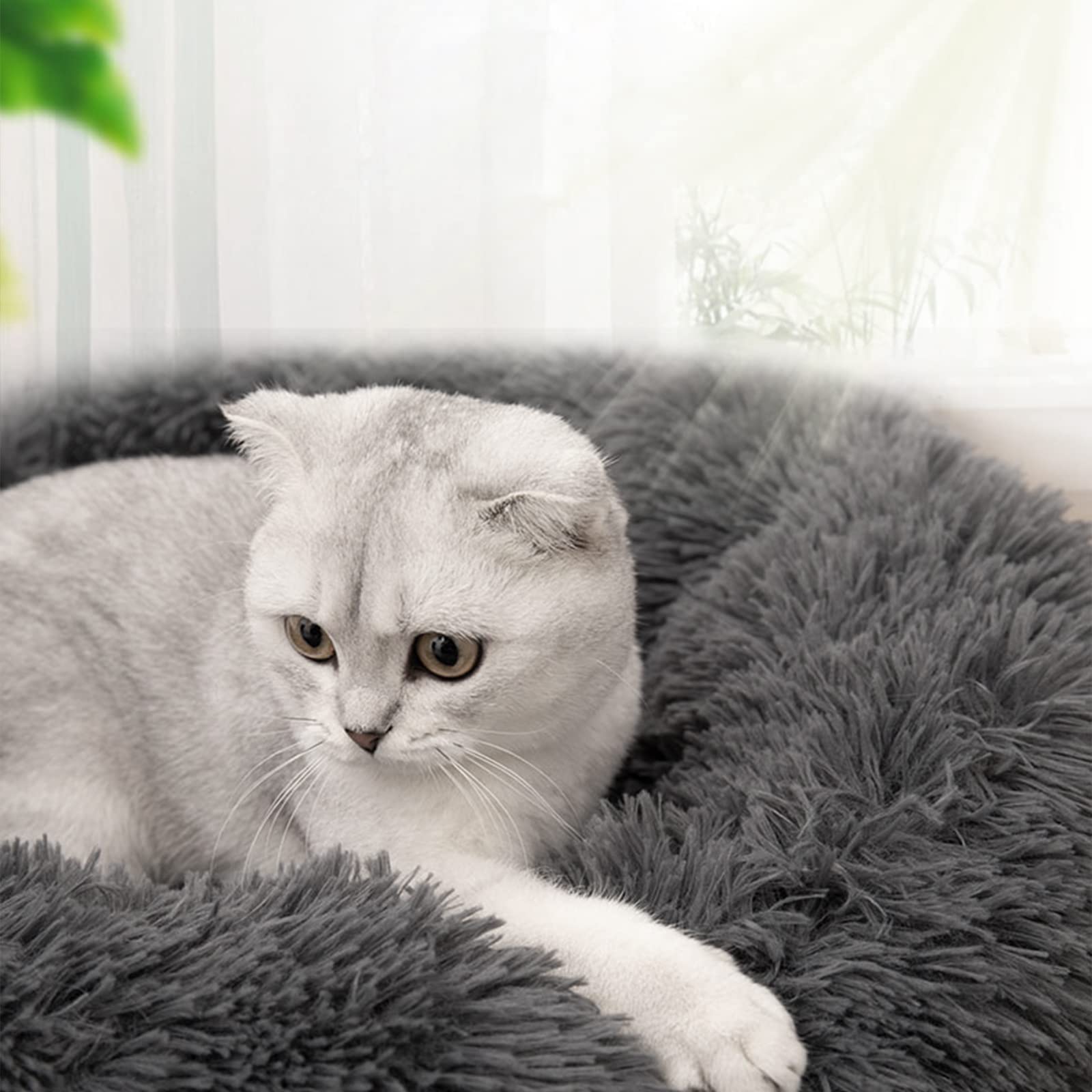 Nisrada Cat Beds for Indoor Cats,15.7 Inch Small Cats Beds, Washable-Round Pet Bed for Puppy and Kitten with Slip-Resistant Bottom