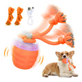 Interactive Dog Toy, [Newly Upgraded] Motion Activated Rolling Squeaky Ball for Medium/Large Dogs, Automatic Moving Dogs Ball for Boredom, USB Rechargeable(Cyan)