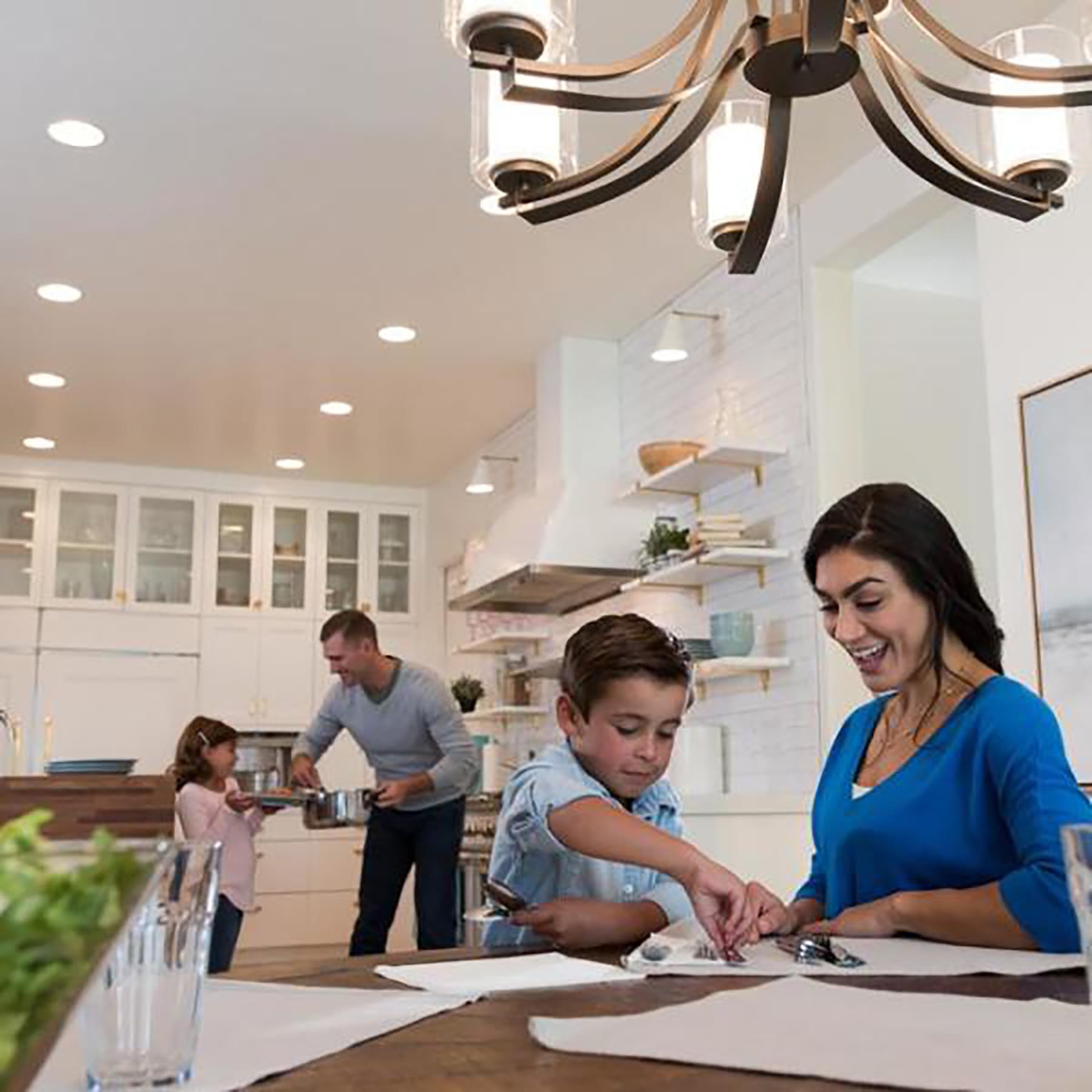 Lutron Skylark LED+ Dimmer Switch for Dimmable LED, Lutron Dimmer Switch For Halogen and Incandescent Bulbs, 150W/Single-Pole or 3-Way, SCL-153P-AL, Almond