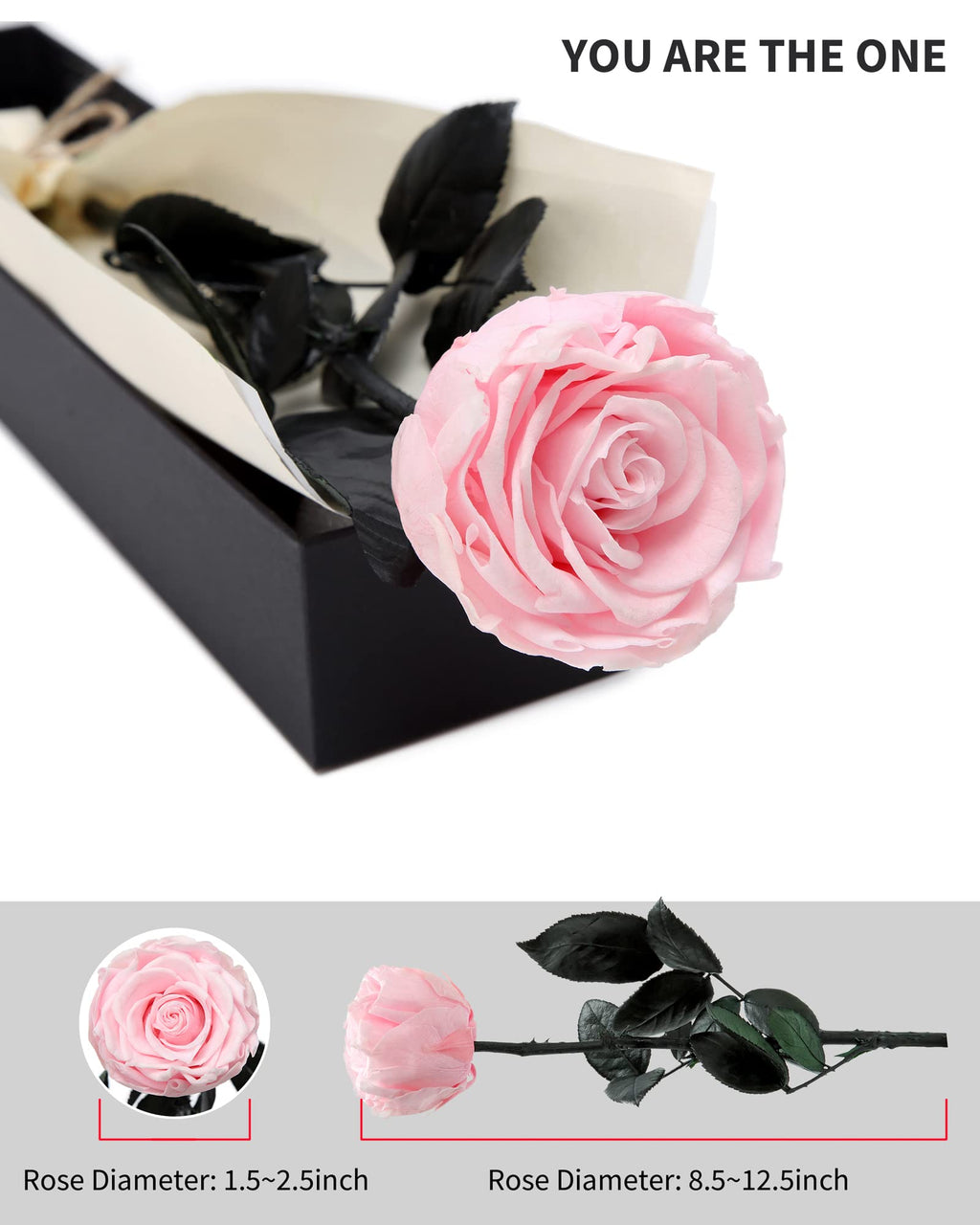 Flowers for Delivery Prime, Preserved Roses Flower Gifts for Women, Real Roses Single Rose Presents for Her, Mom Birthday Gifts from Daughter, Valentines Flowers Red Roses