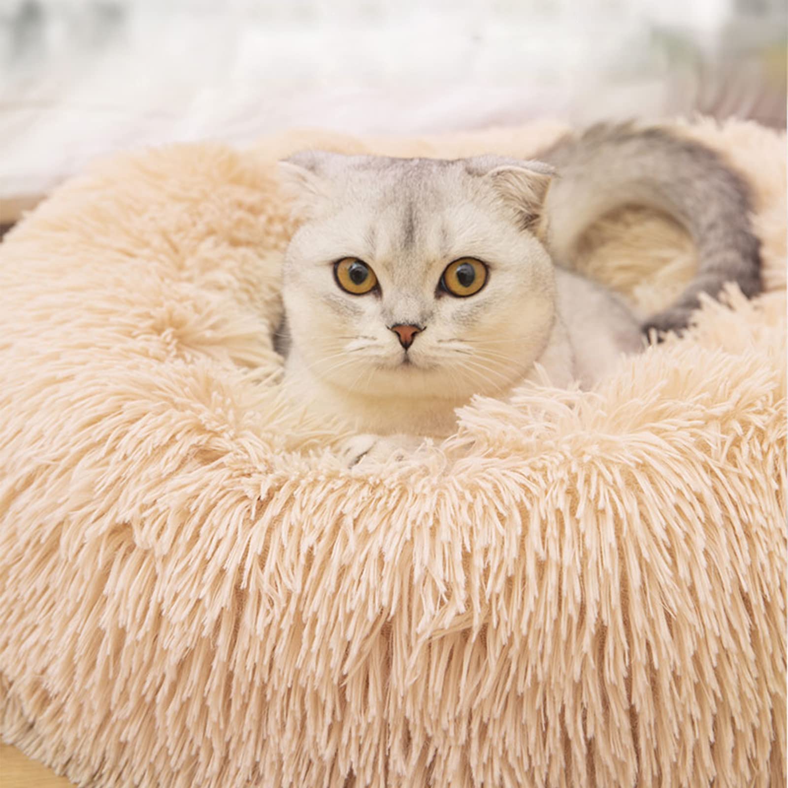 Nisrada Cat Beds for Indoor Cats,15.7 Inch Small Cats Beds, Washable-Round Pet Bed for Puppy and Kitten with Slip-Resistant Bottom