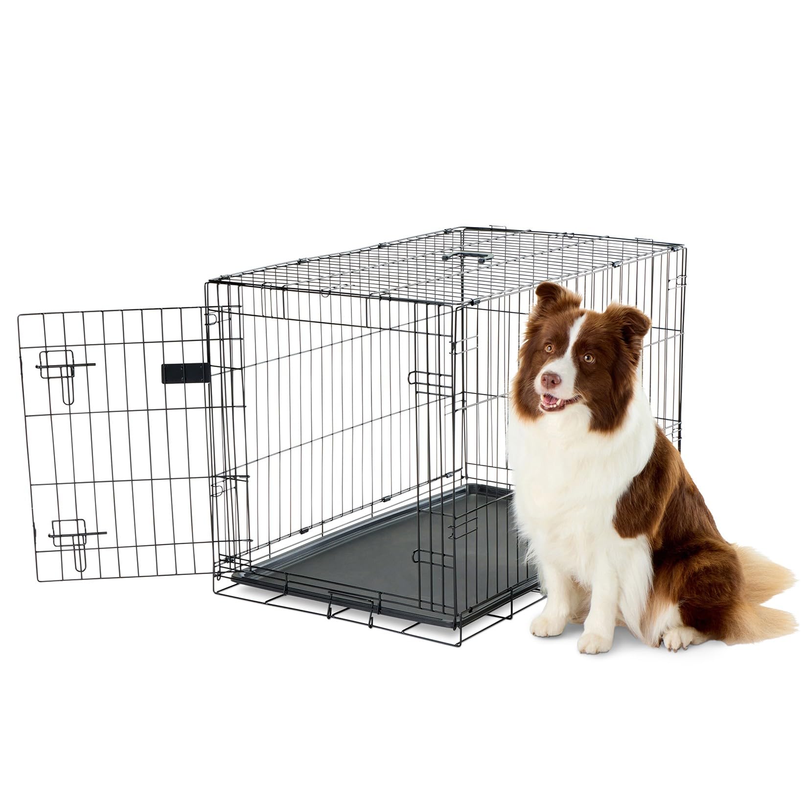 Carlson Secure and Compact Double Door Metal Dog Crate, Medium with Divider Panel