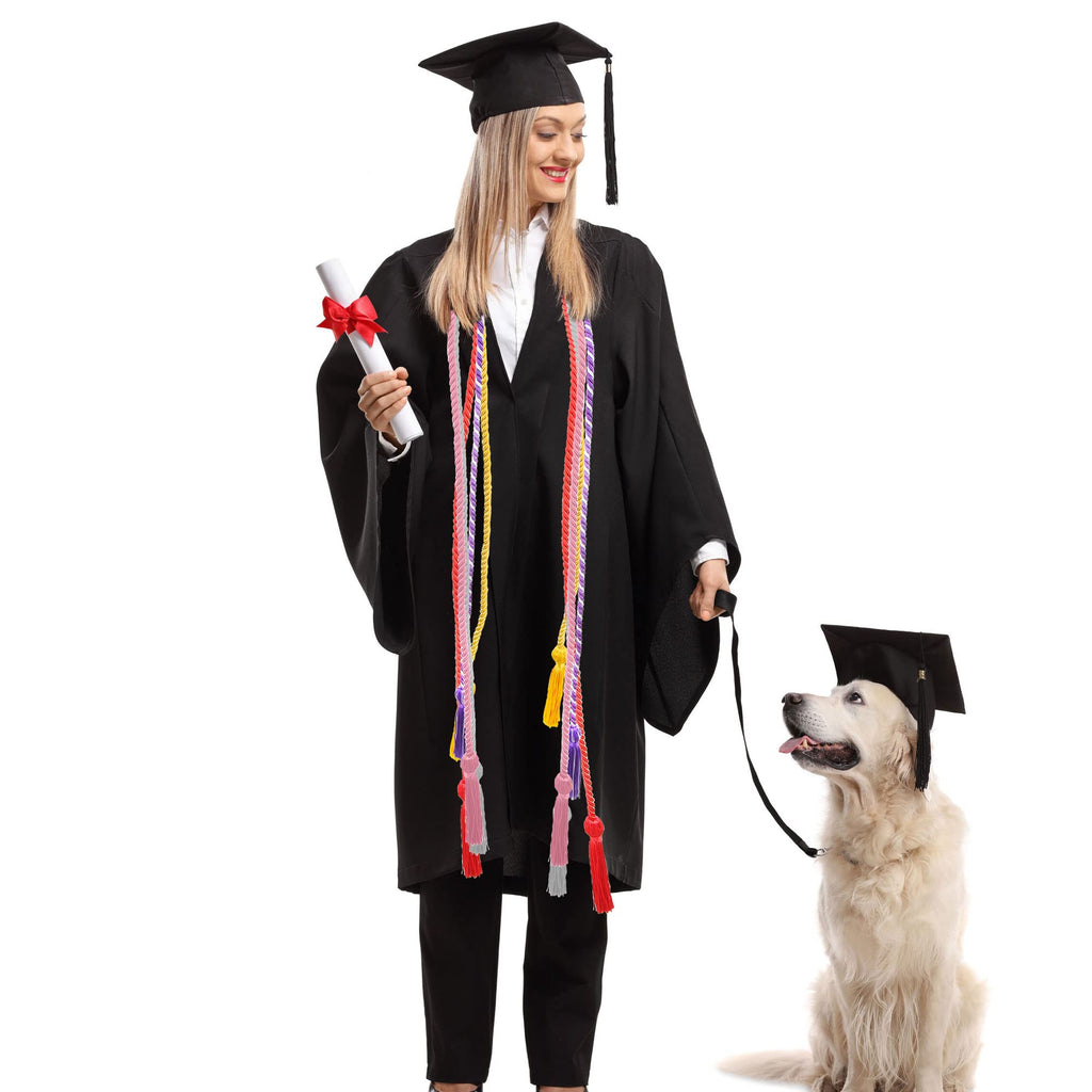 15 Pieces Graduation Honor Cord Braided Honor Cords with Tassels for Graduation Students (Black)