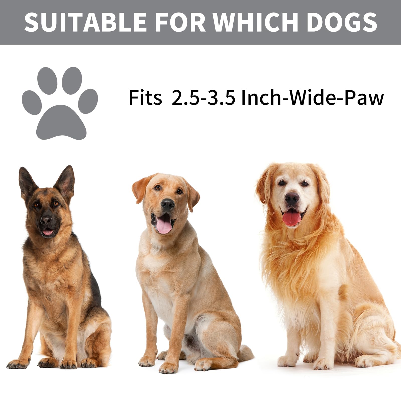 Professional 7 in 1 Dog Paw Cleaner for Dogs & Cats - Includes 1 Portable Paw Washer, 1 Bath Brush, 2 Dog Toothbrushes and 3 Absorbent Towels Note: Fits Paws up to 2 Inches Wide (Small, Black)